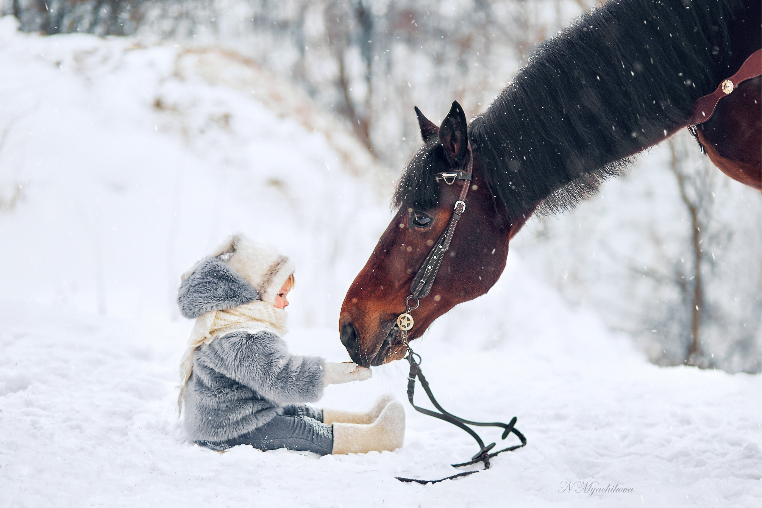 Фотосессия с конем в Нижегородской области, в Новинках. Детский и семейный фотограф в Нижнем Новгороде Мячикова Наталья