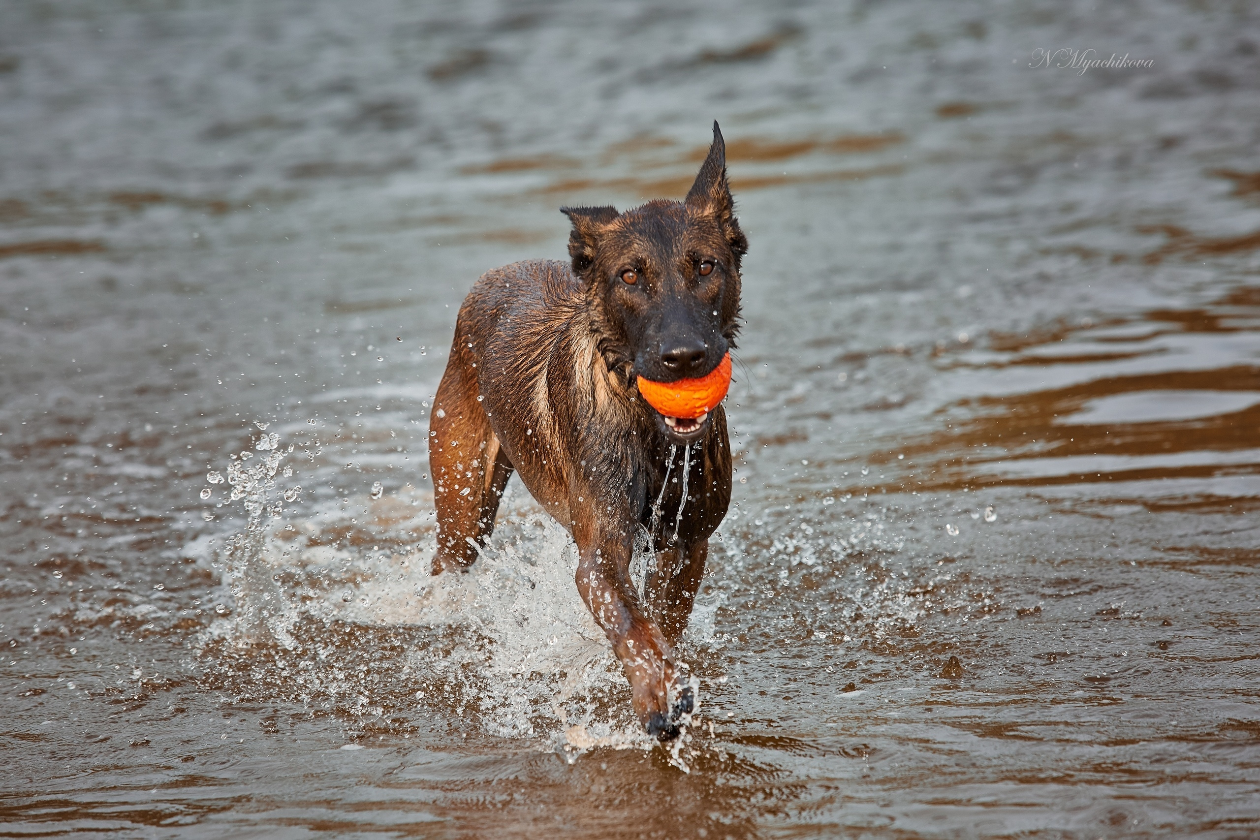 Съемка ребенка на Щелковском хуторе в Нижнем Новгороде. Детский и семейный фотограф в Нижнем Новгороде Мячикова Наталья