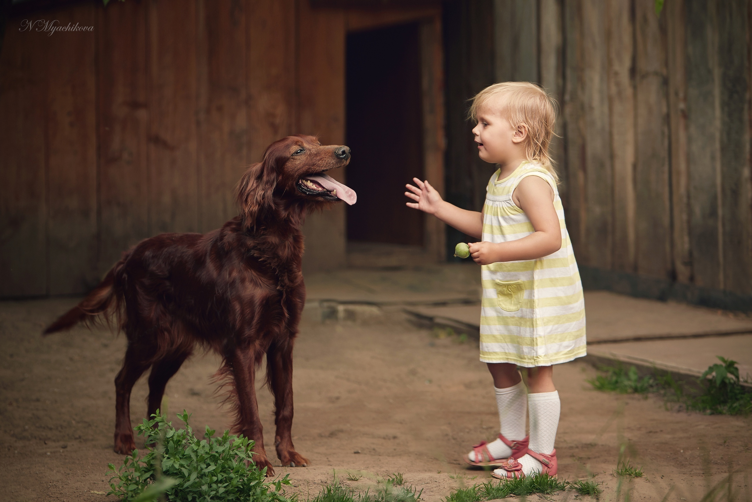 Съемка ребенка на Щелковском хуторе в Нижнем Новгороде. Детский и семейный фотограф в Нижнем Новгороде Мячикова Наталья