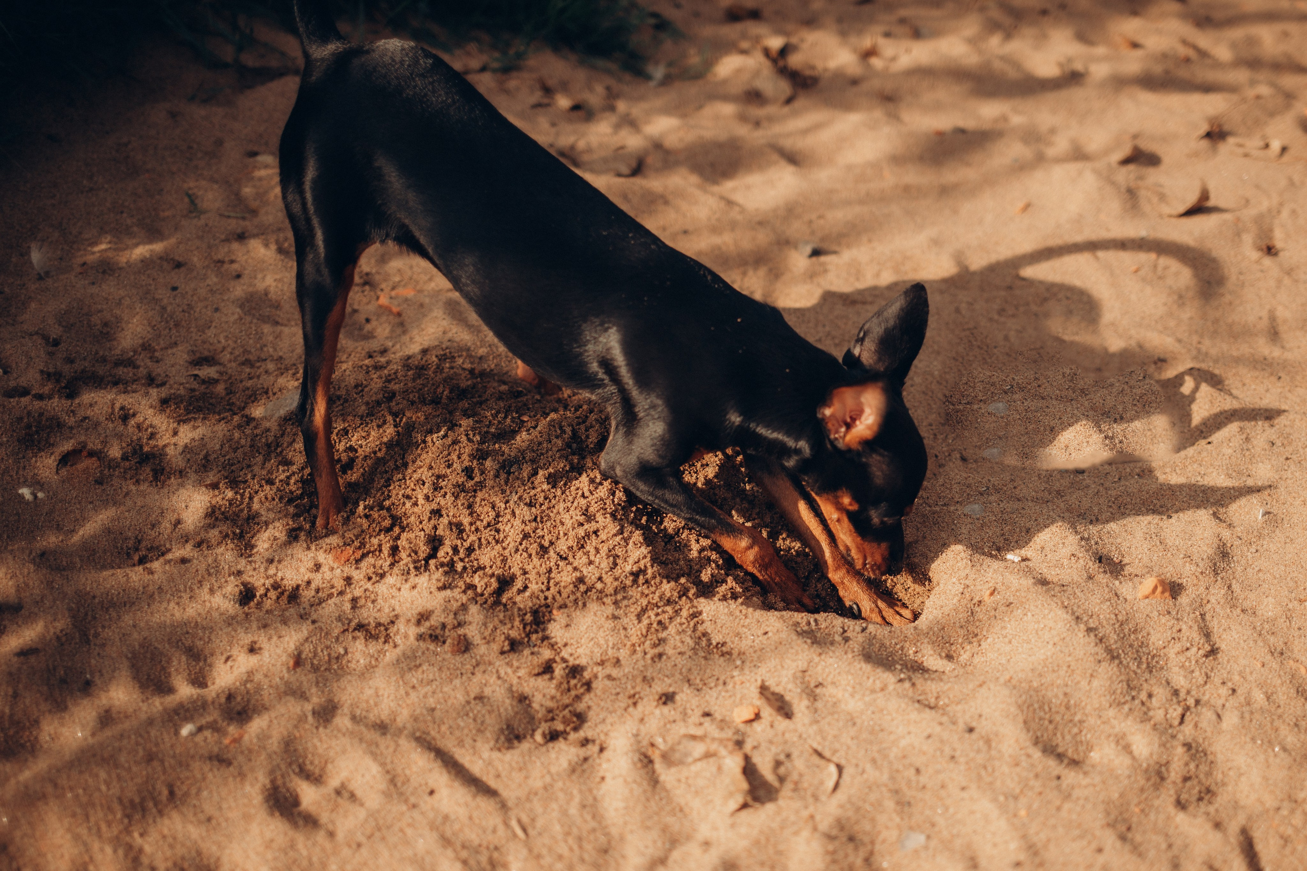 Диана и Марк. Фотограф Санкт-Петербург