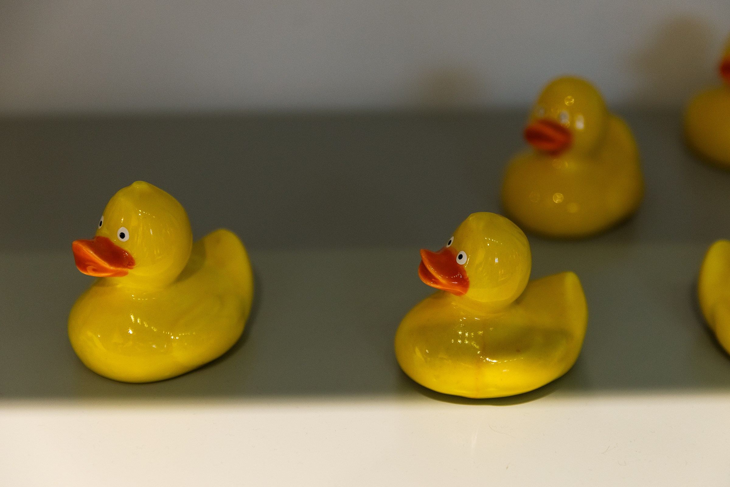 АРТ Россия 2026. Фотограф в Москве