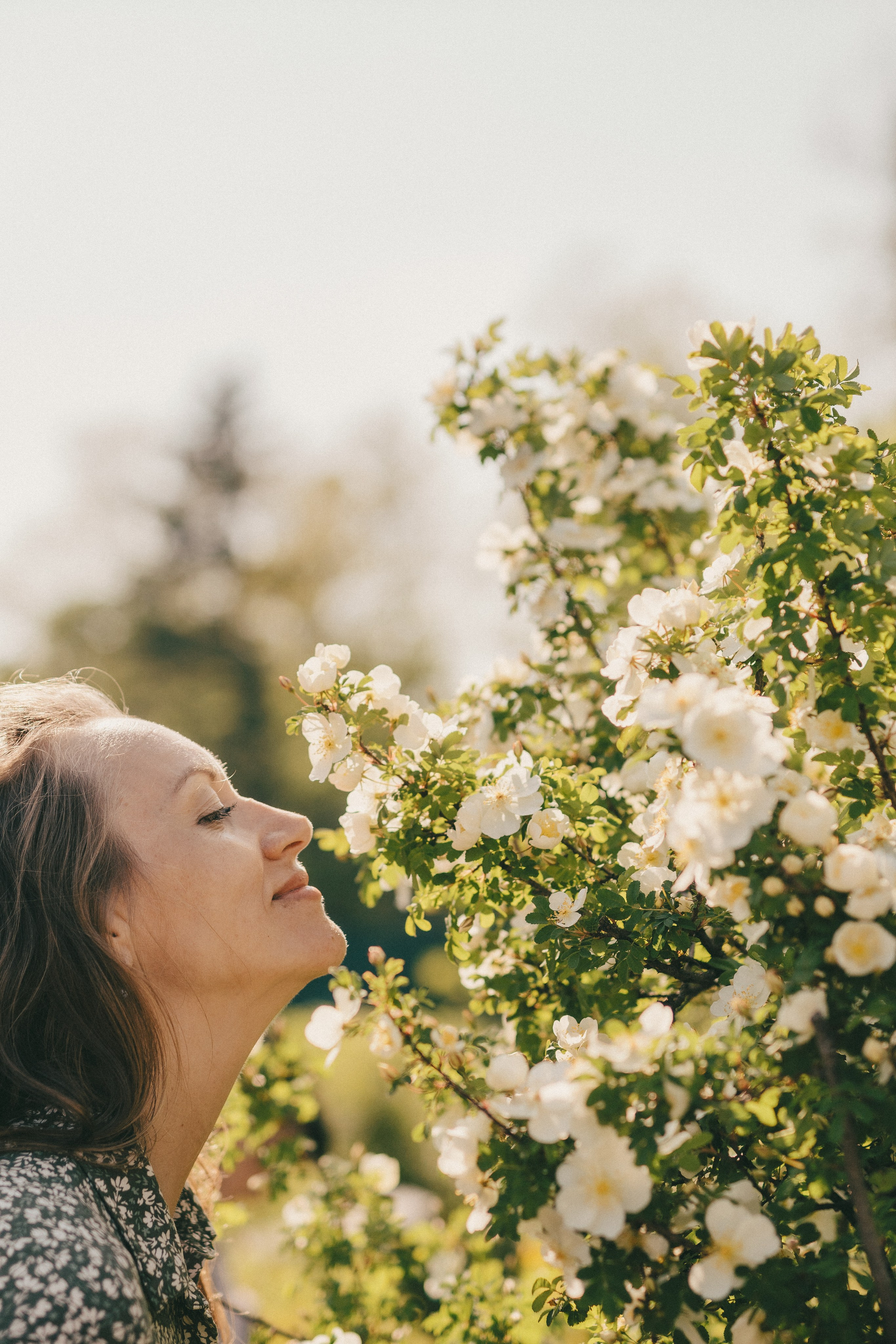 девушка и цветущие деревья