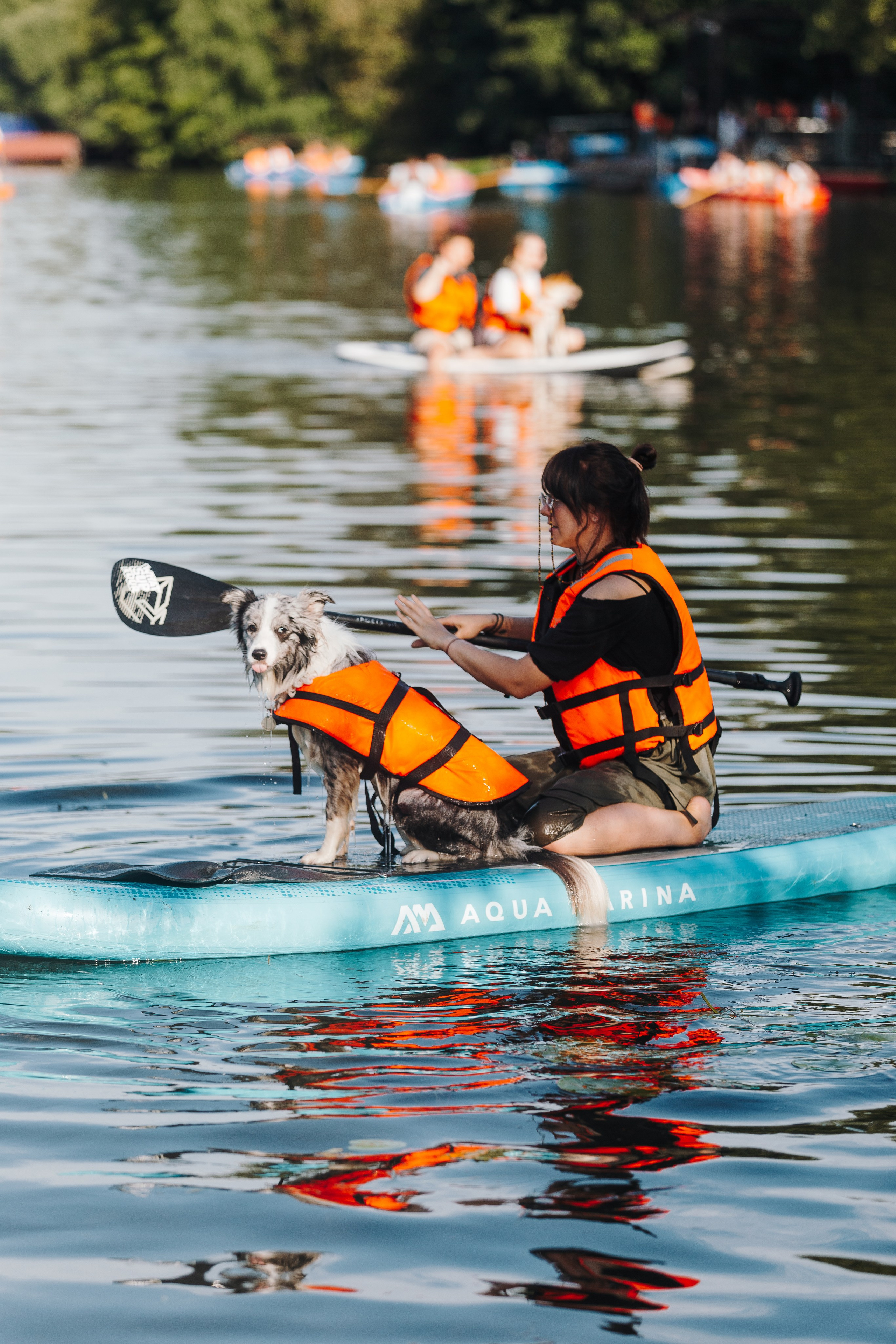 Petshop Sup day. Фотограф анималист Кристина Карпова, Москва
