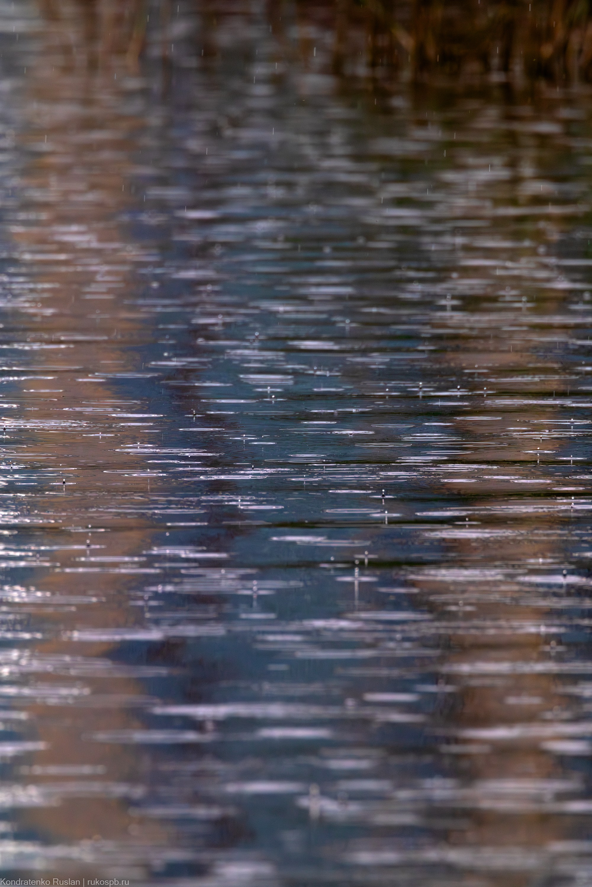 Ленинградская область. Архитектурный и пейзажный фотограф Кондратенко Руслан, Санкт-Петербург