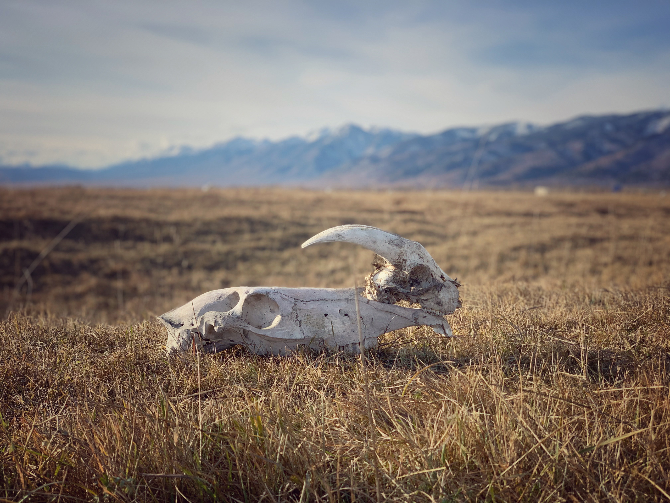 2020. Тащилин Сергей. Фотографии. Жизнь. Хобби