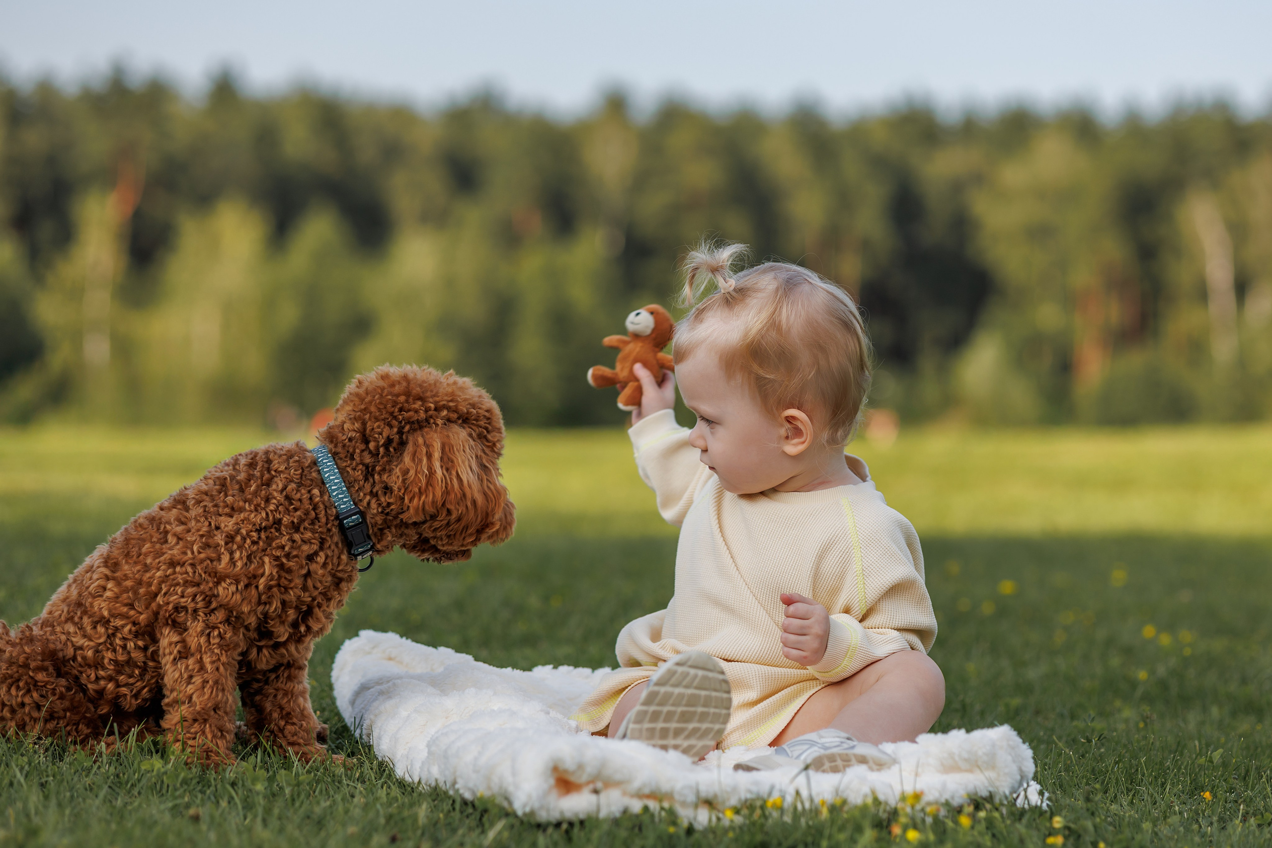 Лариса и Джек. Фотограф Анималист в Москве Анастасия Жучкова