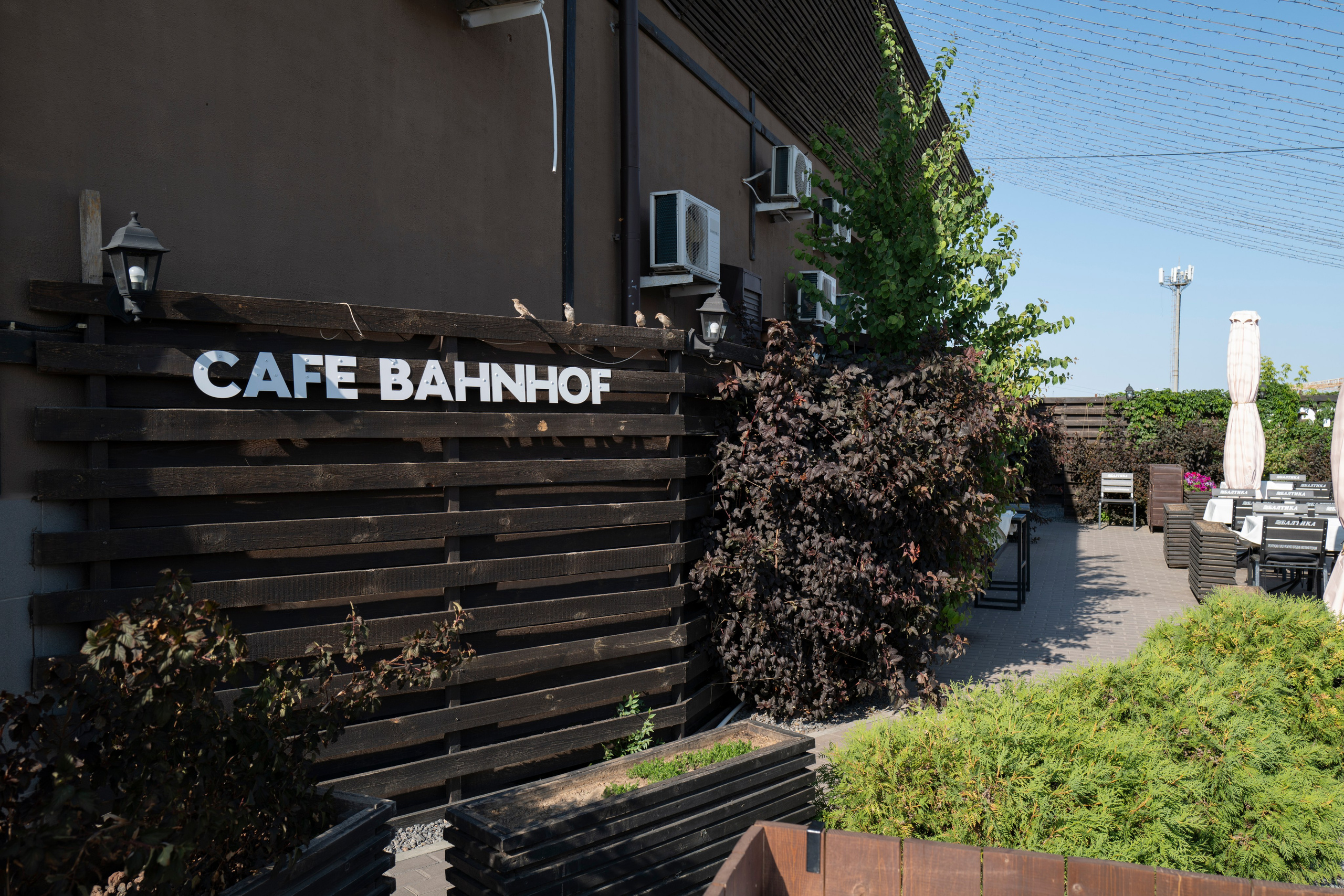 Рестораны. Maxon Magnusson