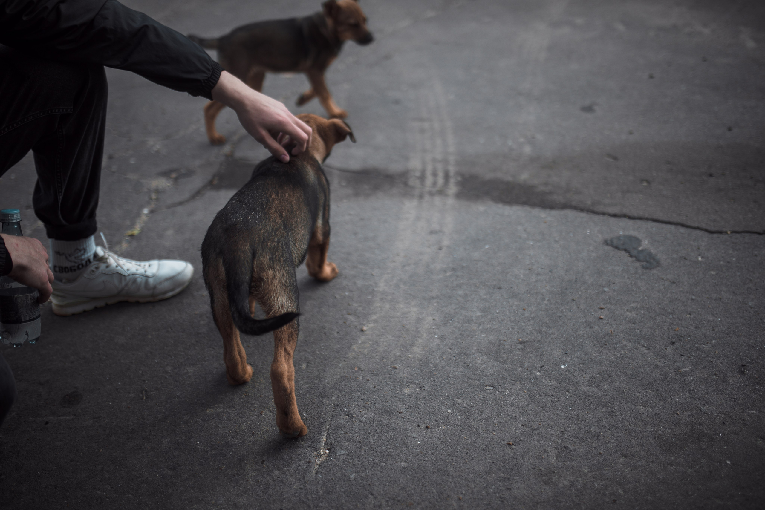 Дима. Фотограф София Комкина