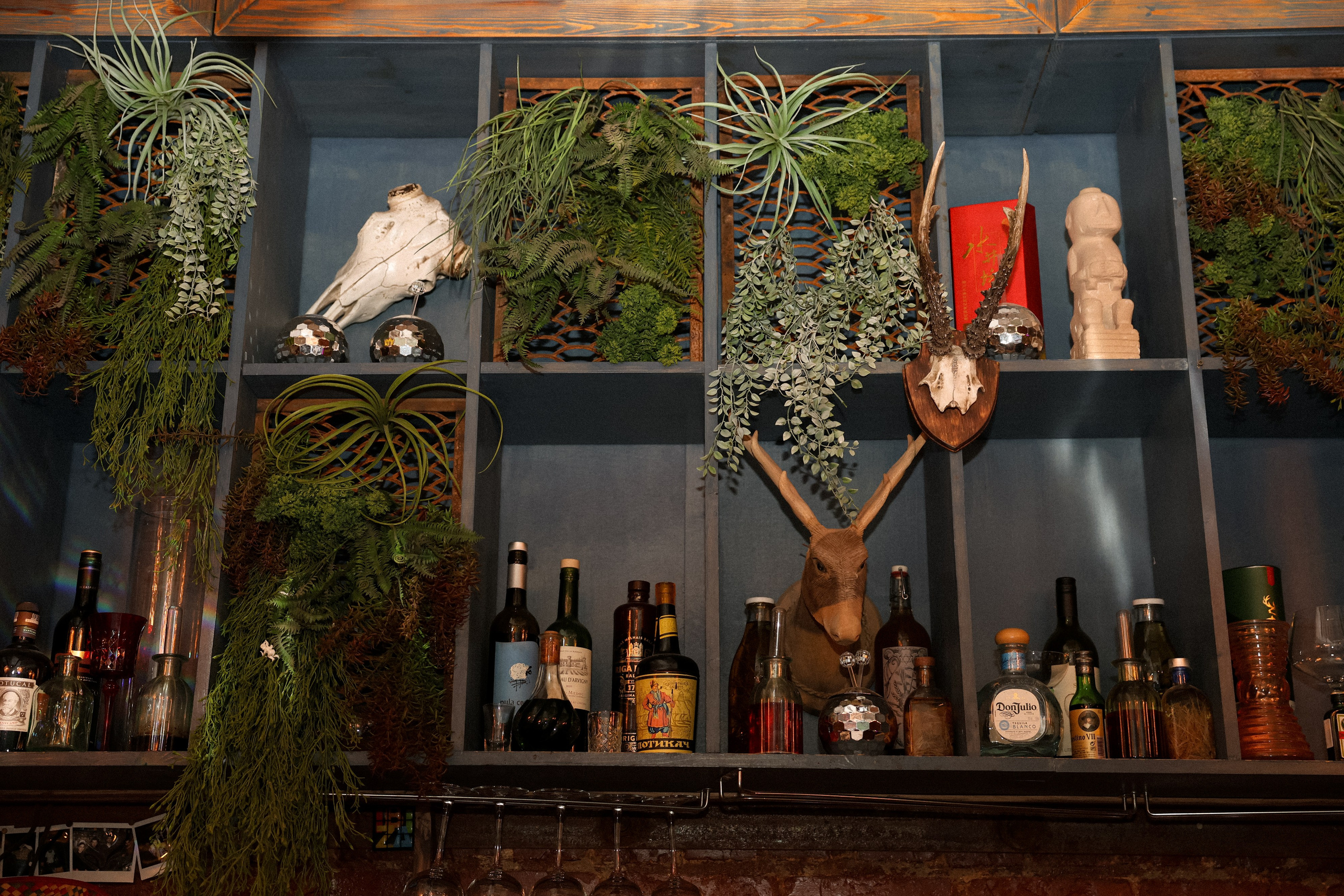 Кристафле и Олеся. Свадебный, репортажный, фотограф Москва и Московская область