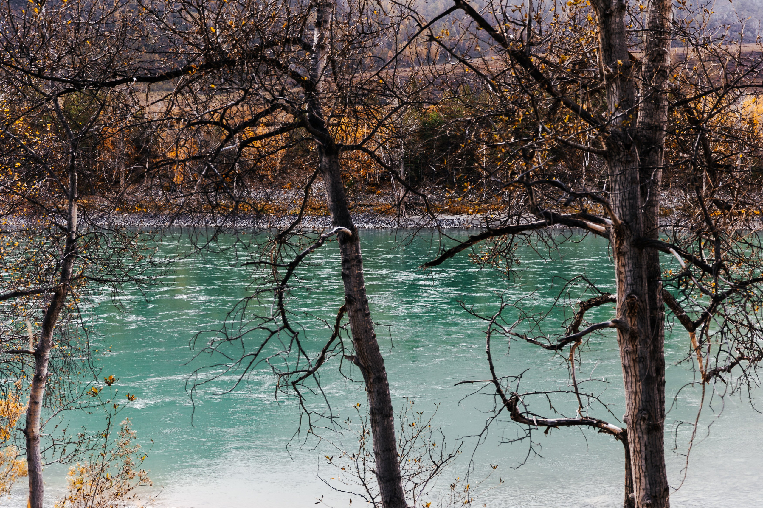Jetour. Большой тест-драйв на Алтае. Лихошерстов Андрей — фотограф для бизнеса из Сибири