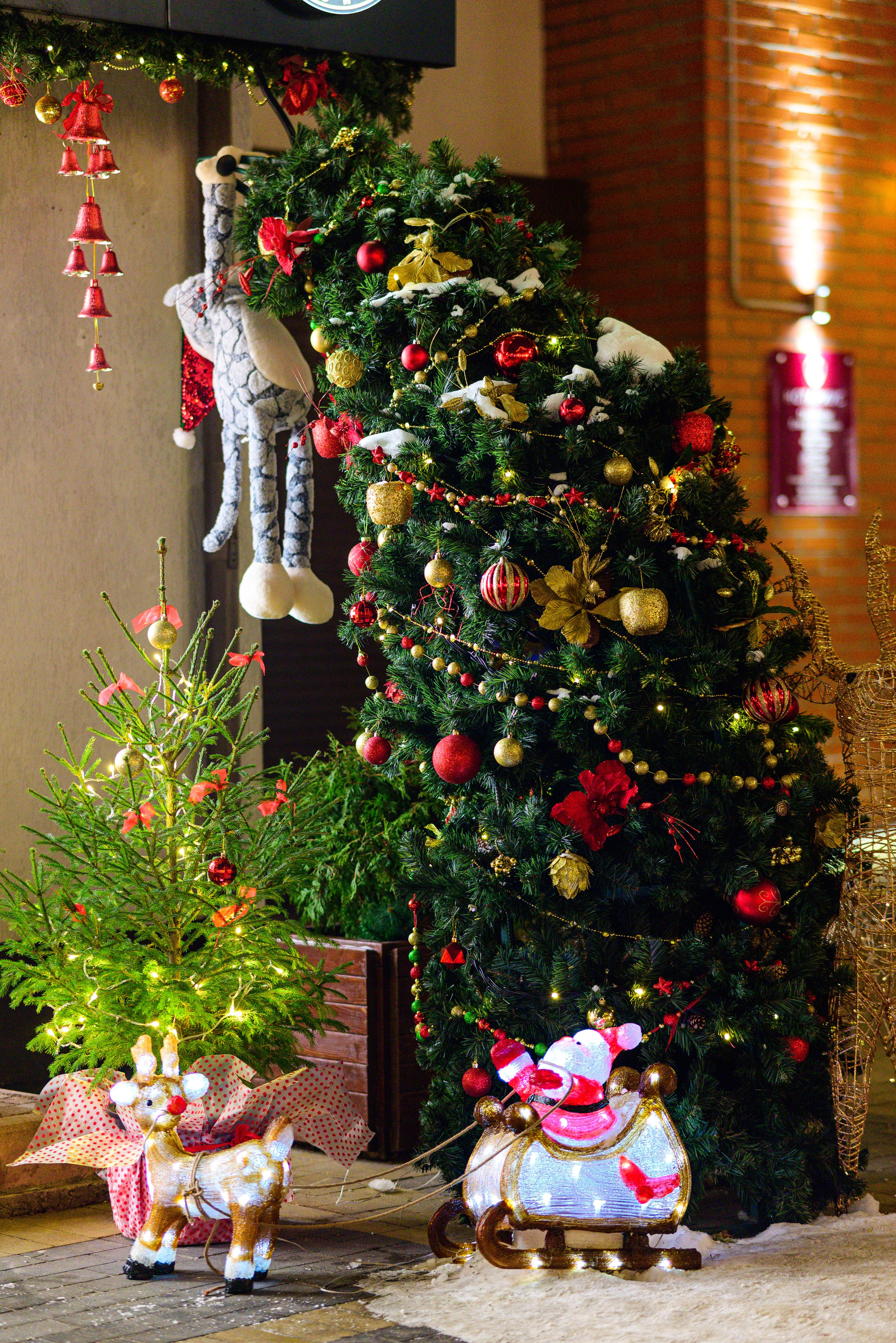 Зимняя Калининградская область. Фотосъемка и видеосъемка в Калининграде Liveemotion.pro