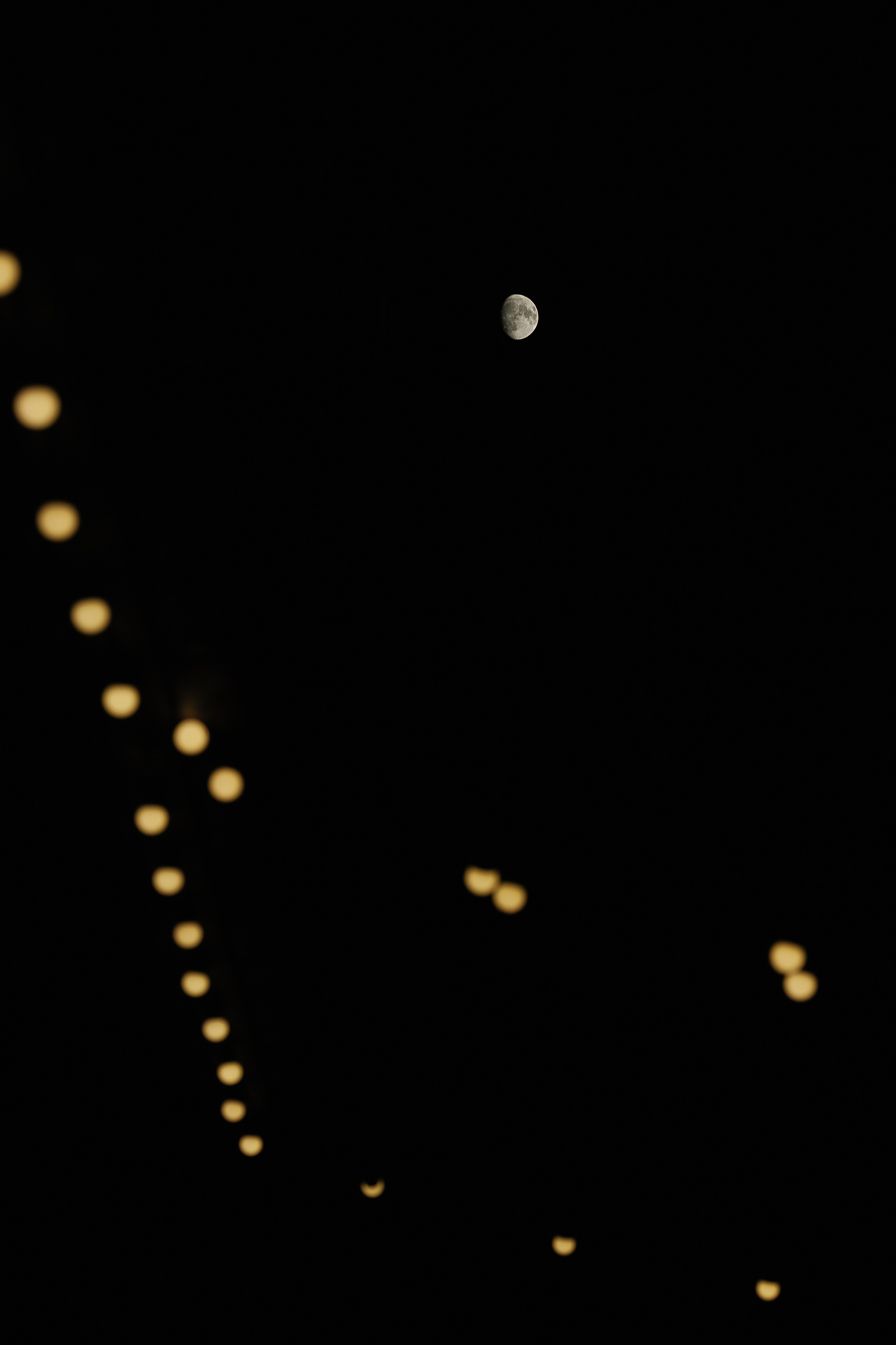 Юрий и Анастасия. Свадебный и семейный фотограф Харольцева Наталья