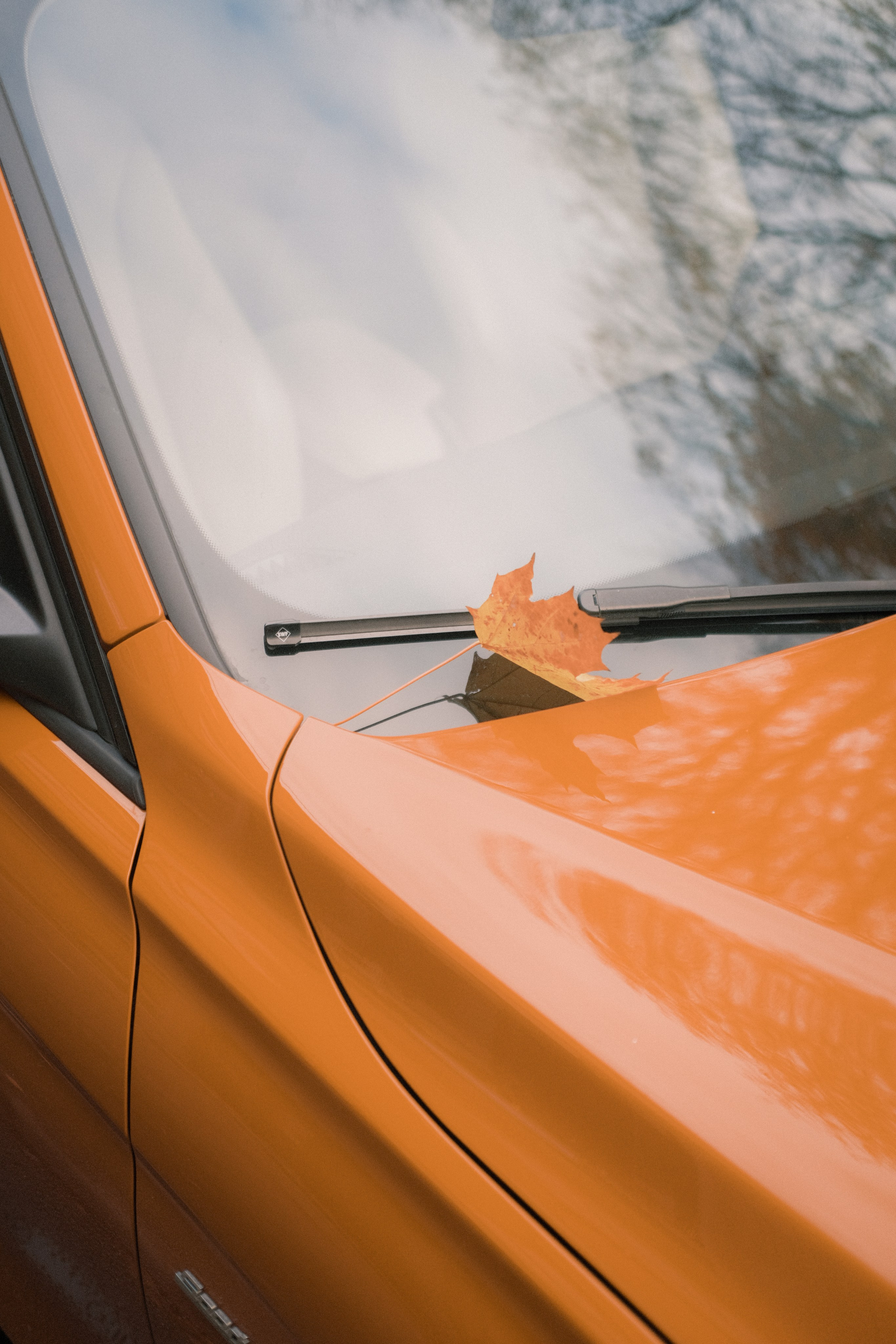 Под плёнку. Михаил Долганов