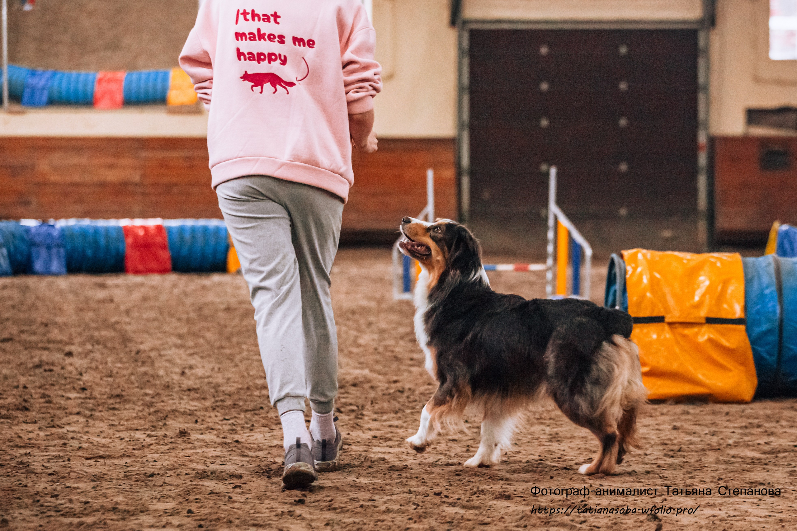 Соревнования по Аджилити 25.02.2024. Фотограф-анималист Татьяна Степанова