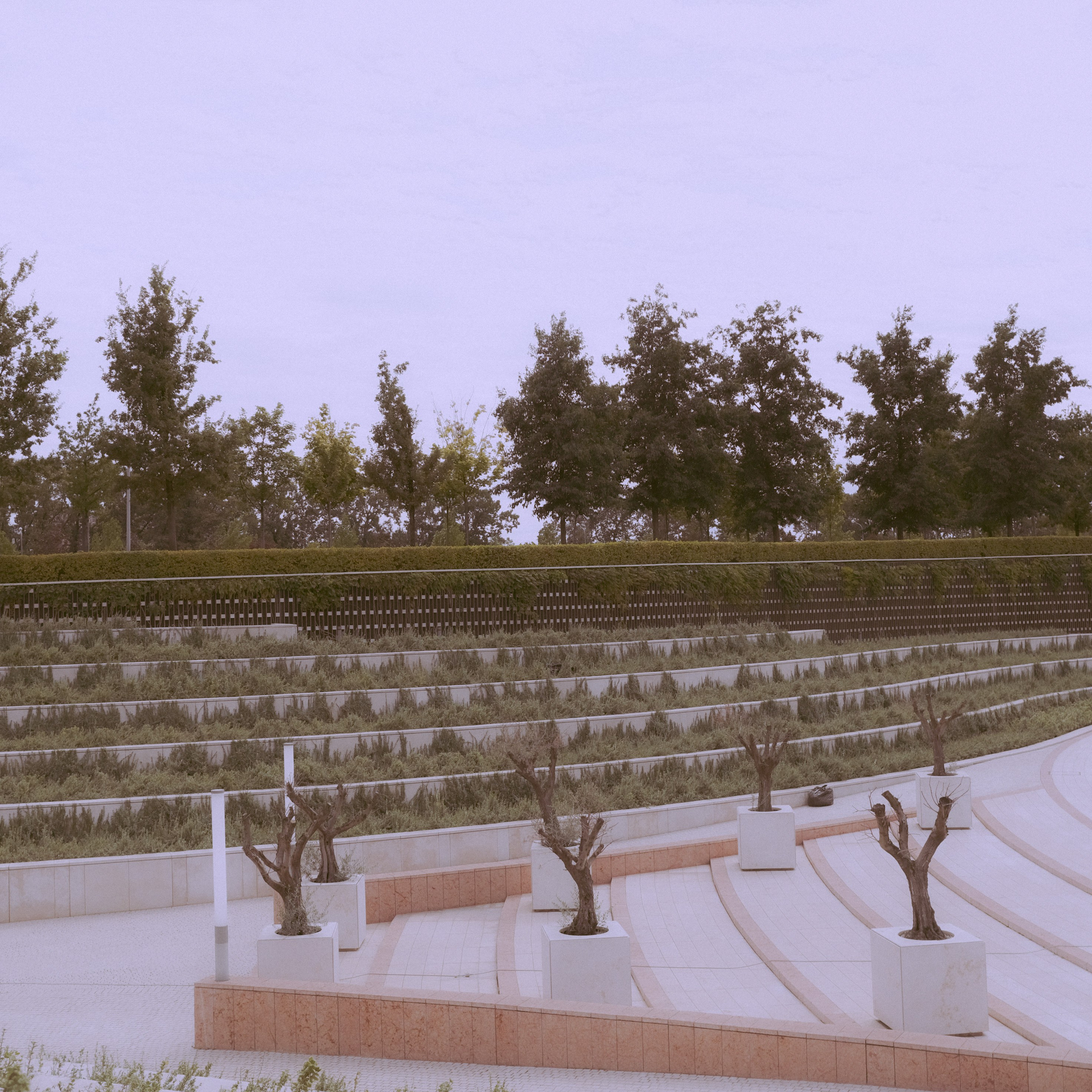 Краснодар. LIYALEE PHOTO