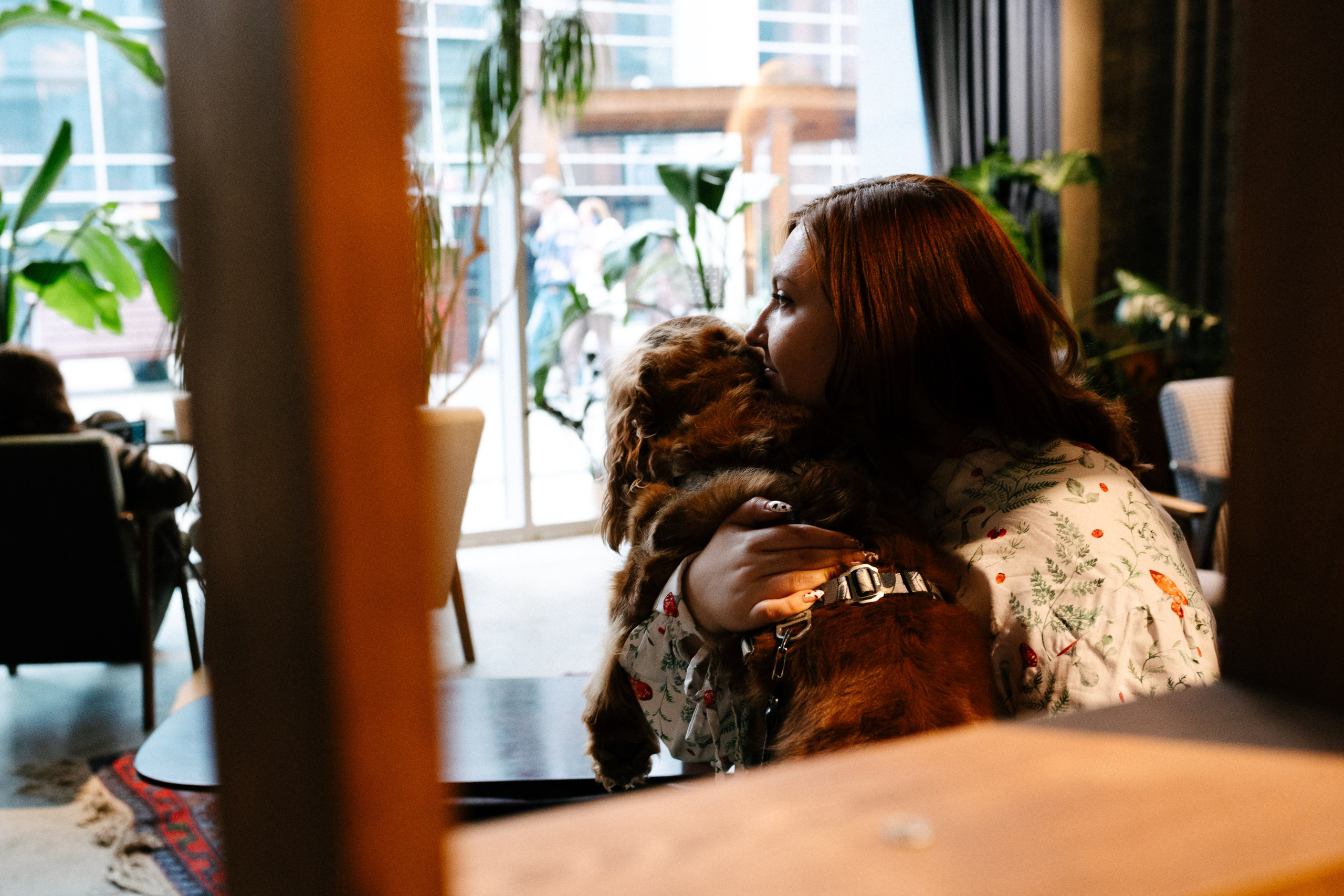 Рыжая команда. Фотограф анималист в Москве Ольга Агушева