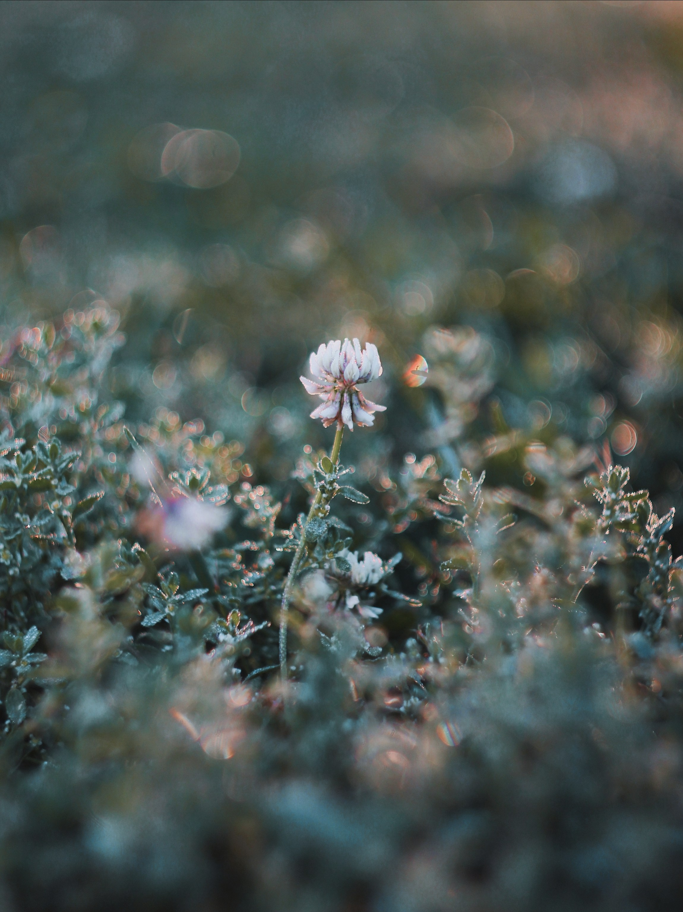 Эфемерность моментов. С любовью, фотохудожник