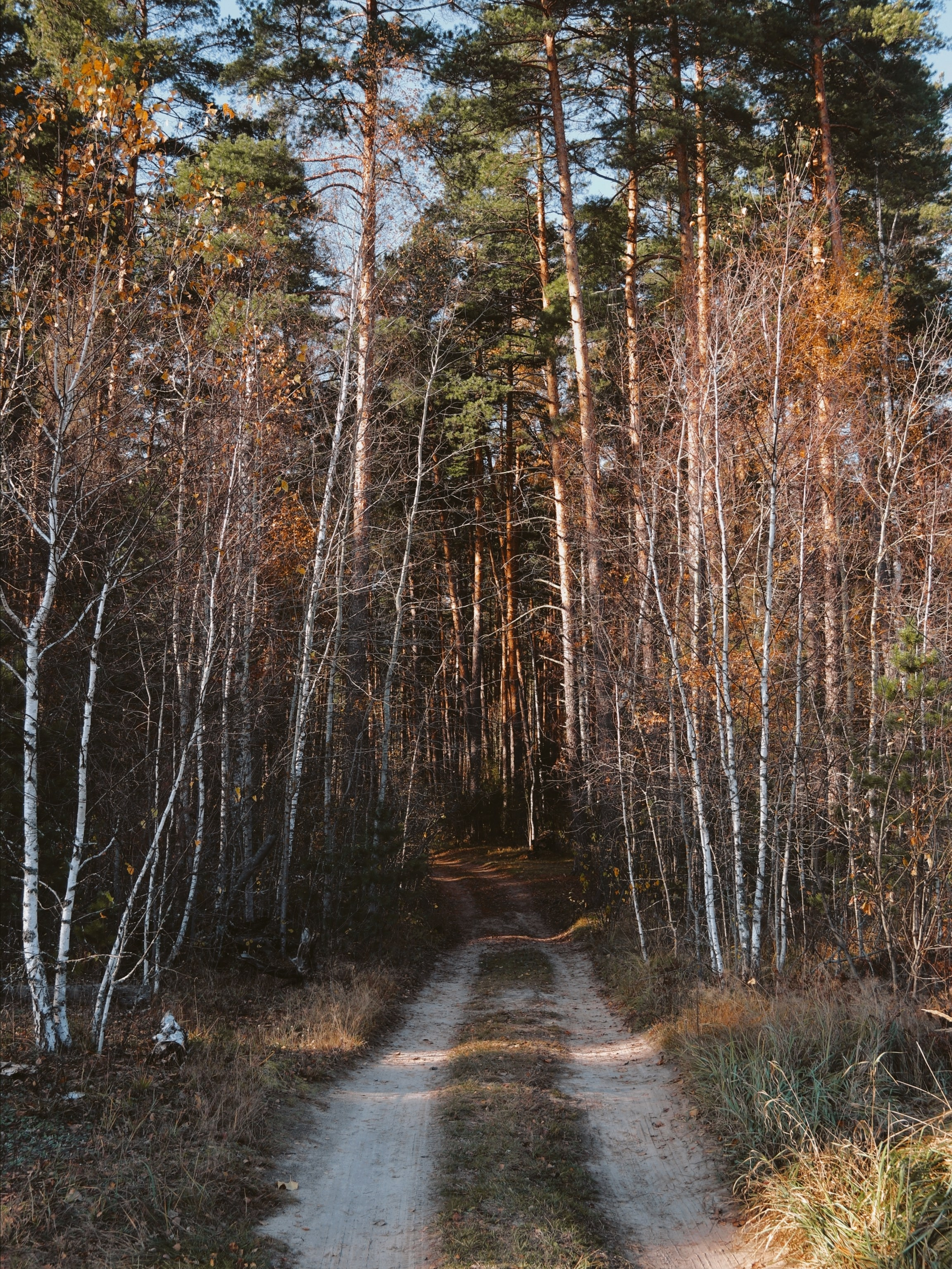 По тропе Паустовского. С любовью, фотохудожник
