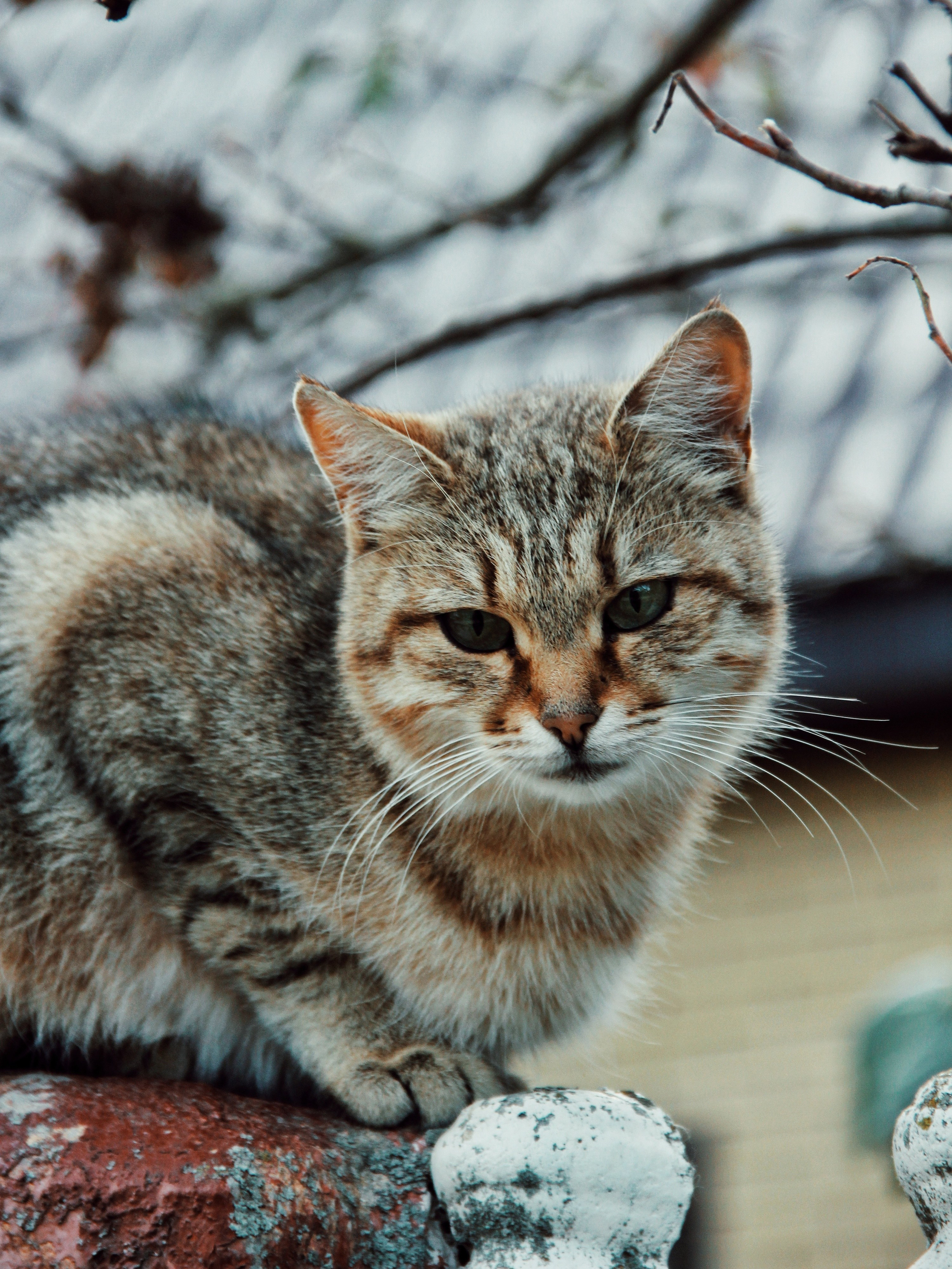 Уличные модели. С любовью, фотохудожник