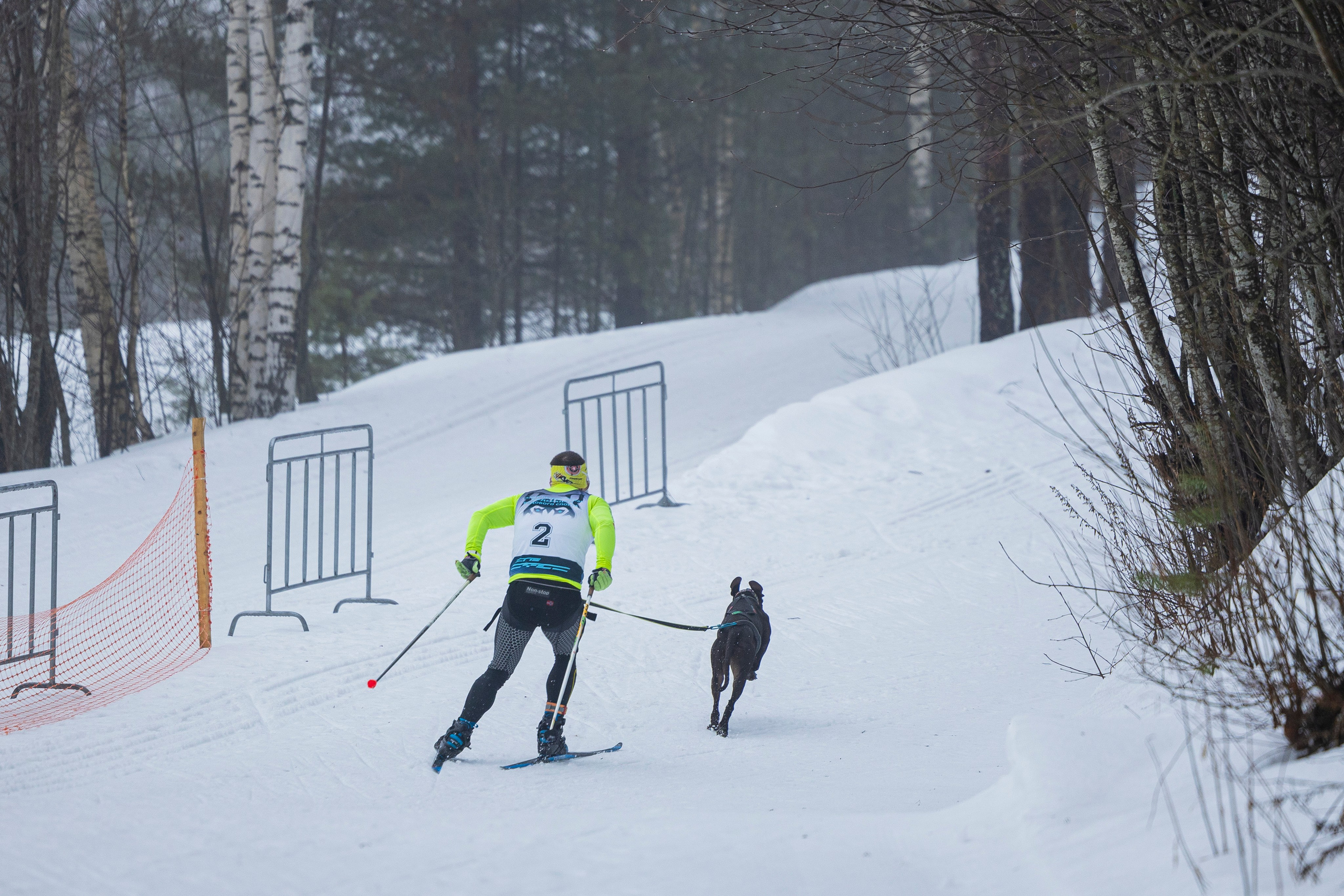 Зимний Чемпионат Санкт-Петербурга по ездовому спорту. Фотограф-анималист Анна Маринич