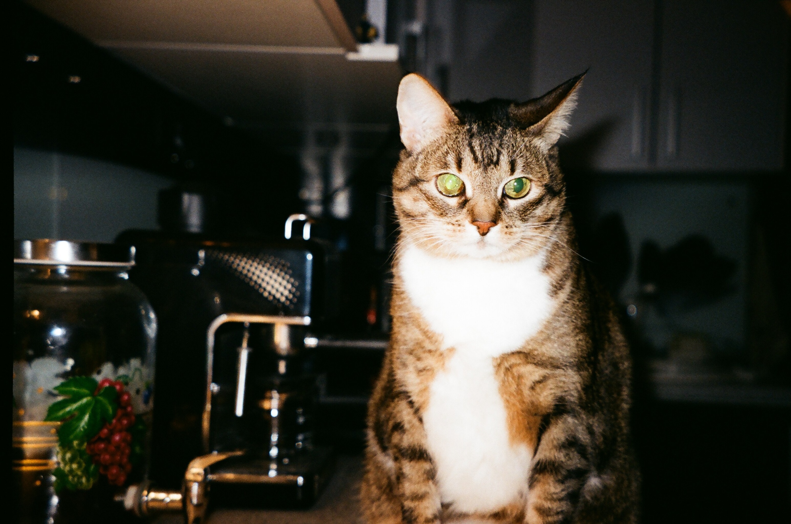 Пленка. Элька Мурзина