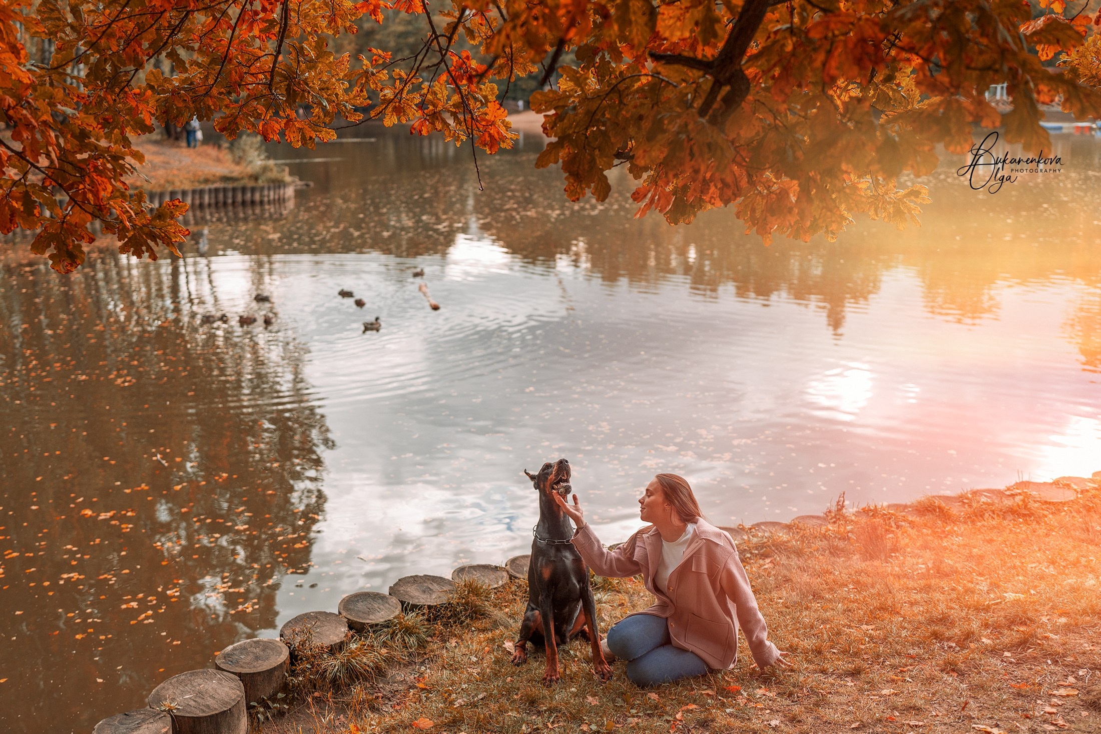 Осенняя рапсодия. Фотограф анималист Ольга Луканенкова в Москве