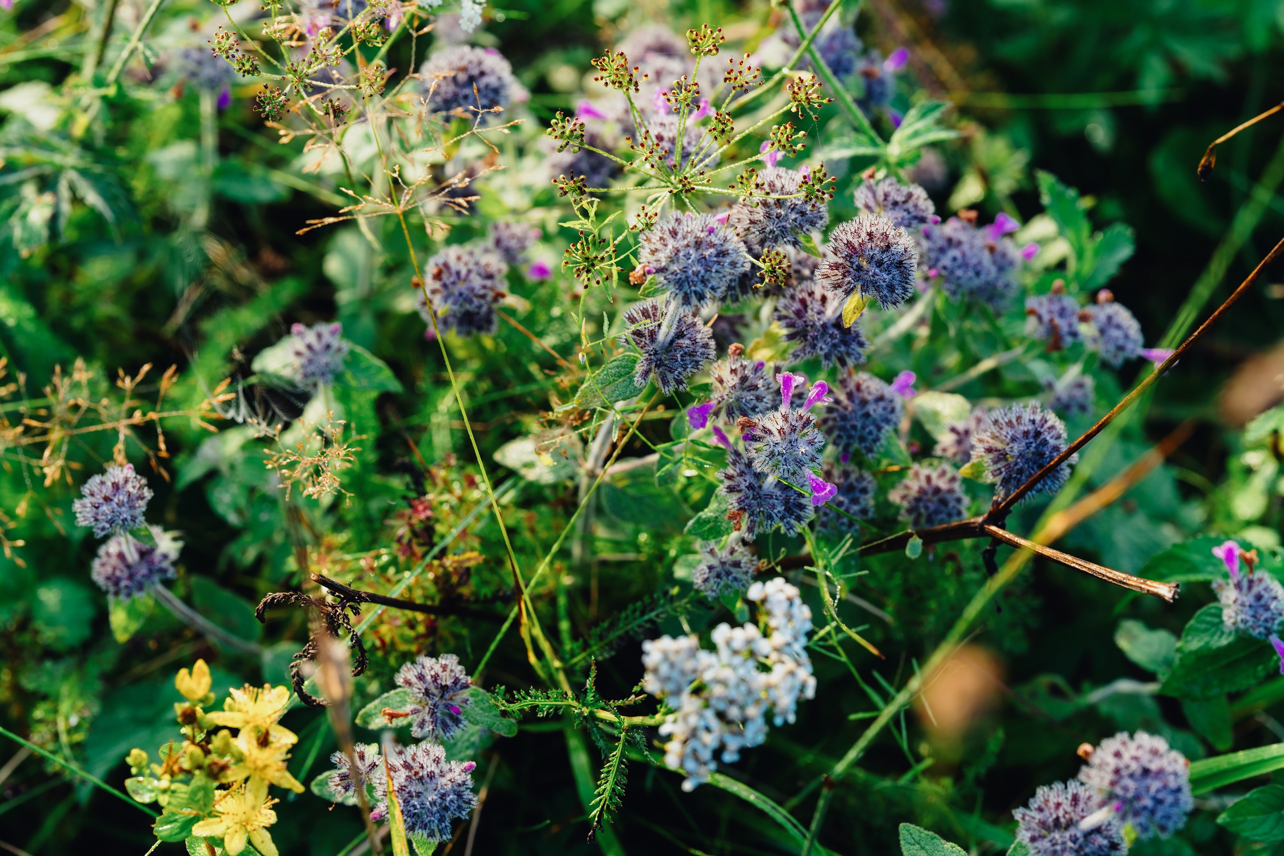 Фотографии Национальный парк Угра. Фотограф спортивные события, недвижимость, турбизнес