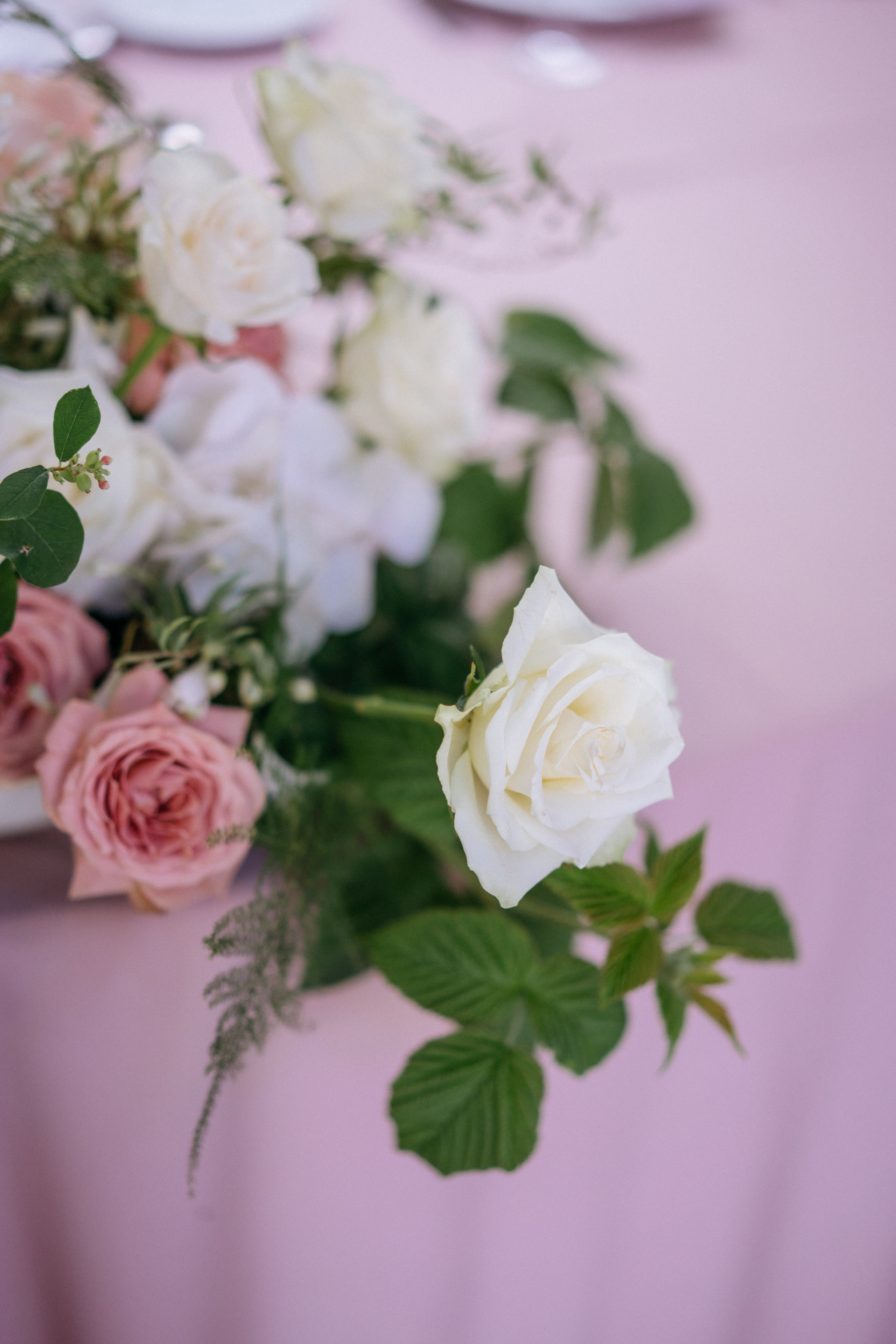 Олег и Елизавета. Свадебный и семейный фотограф в Калининграде Анастасия Гриценко