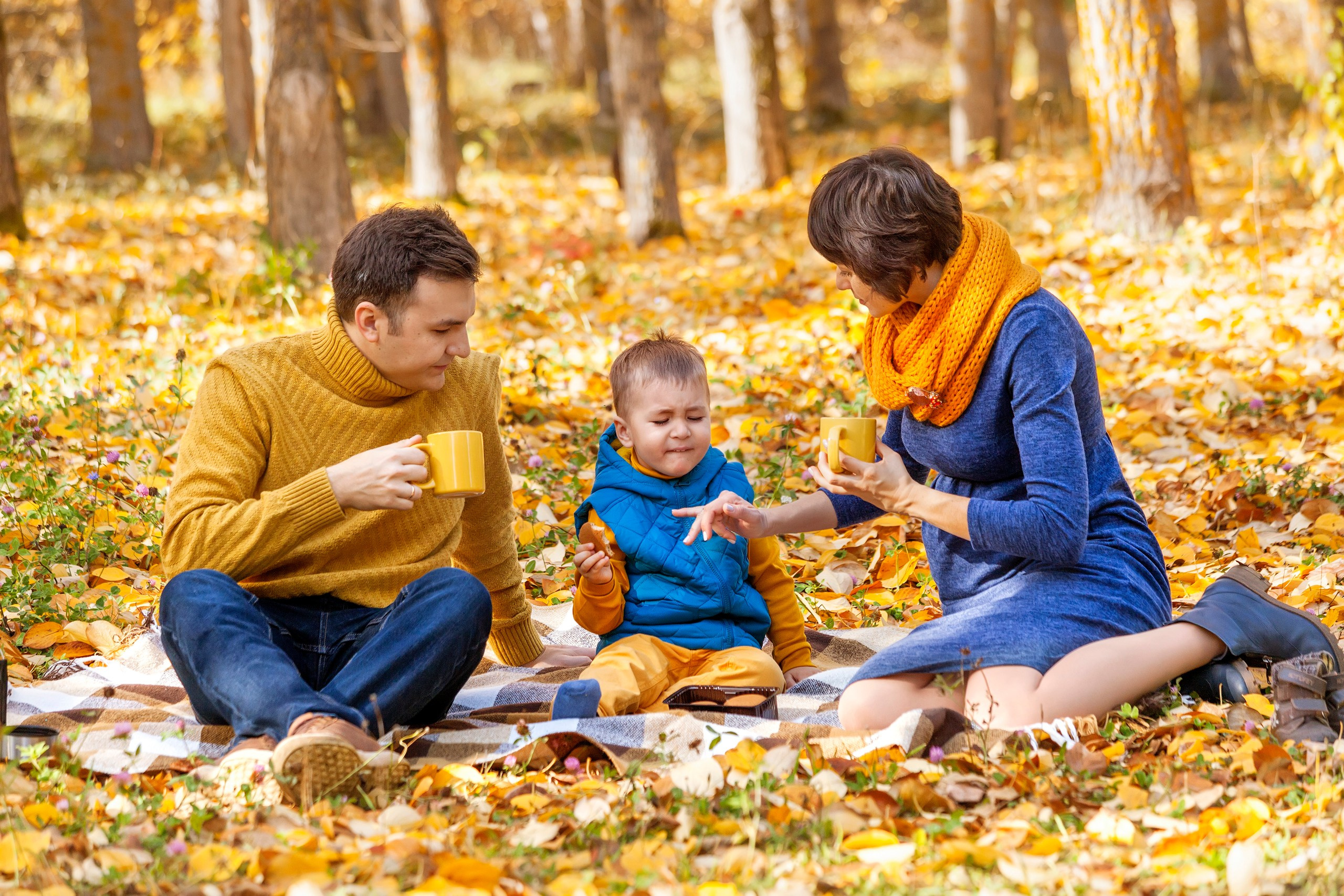 Ковёр из желтых листьев в осеннем парке