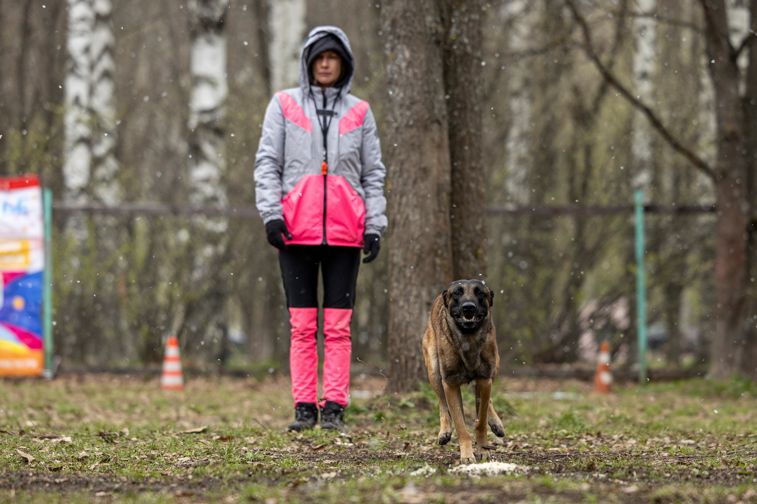 Квалификационные состязания по мондьорингу г. Вологда 11.05.24. Фотограф-анималист Анна Маринич