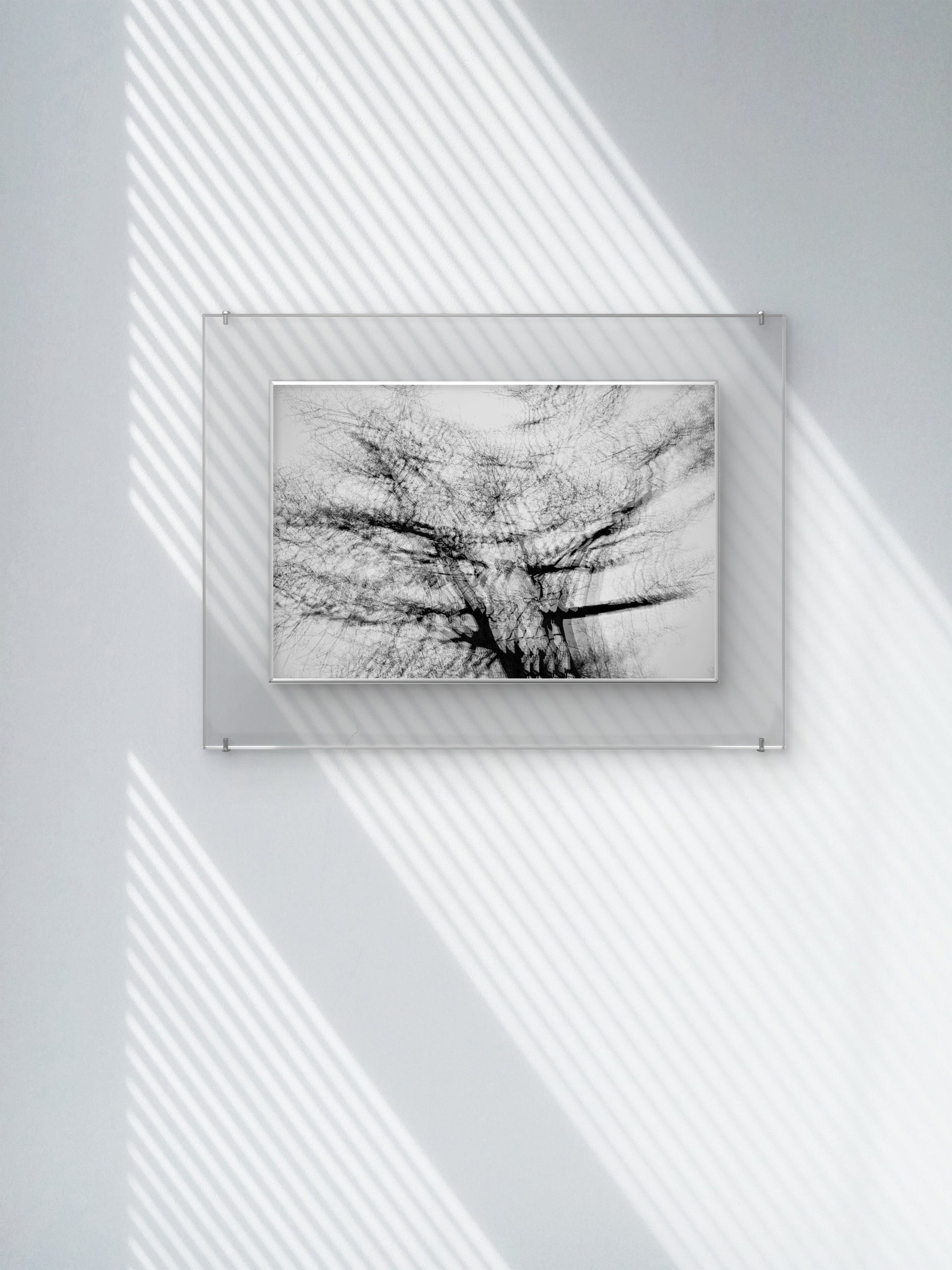 Interiors. Dimitri Bakhtadze photographer