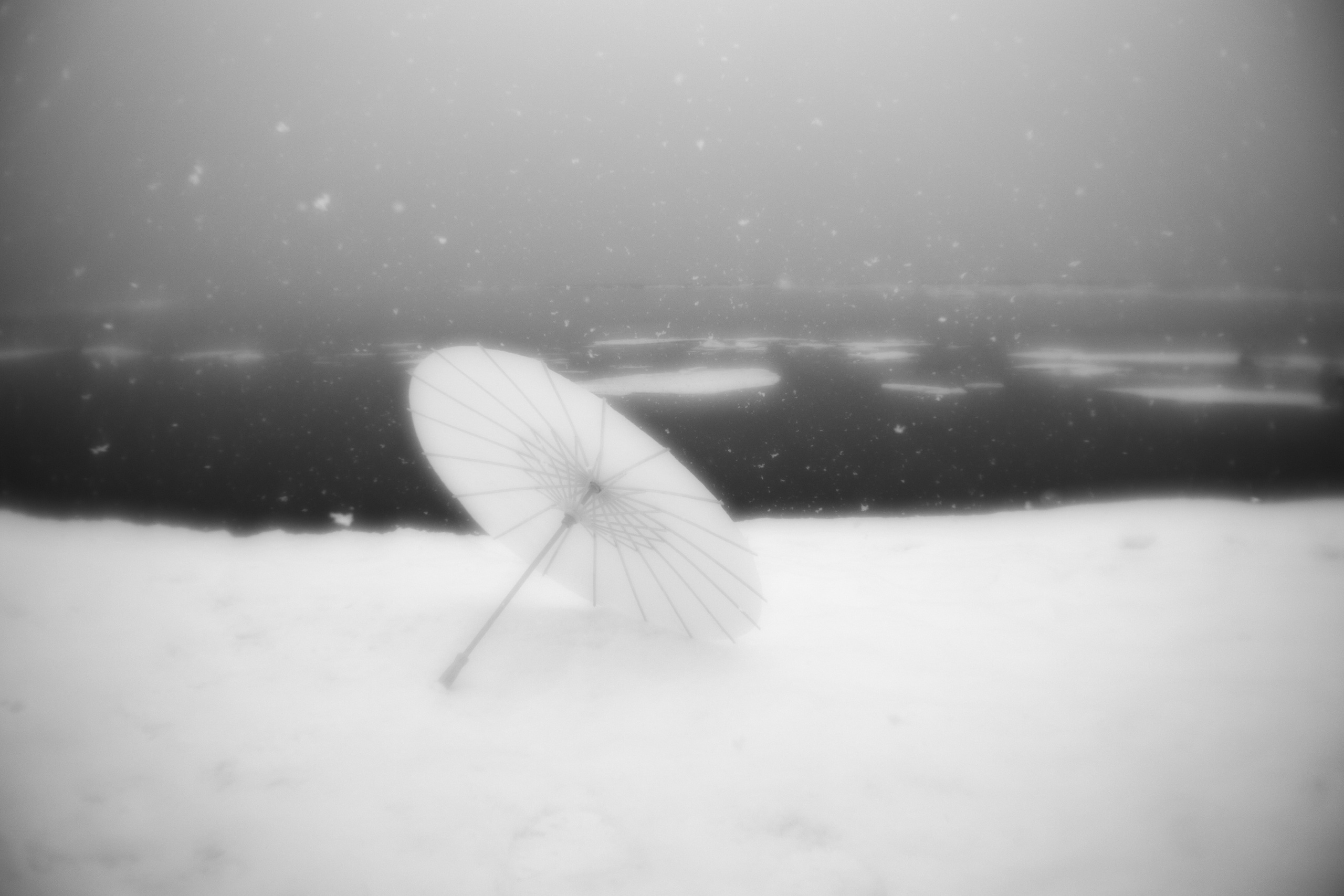 Белоснежность. Фотограф в Мурманске Оксана Черноморец