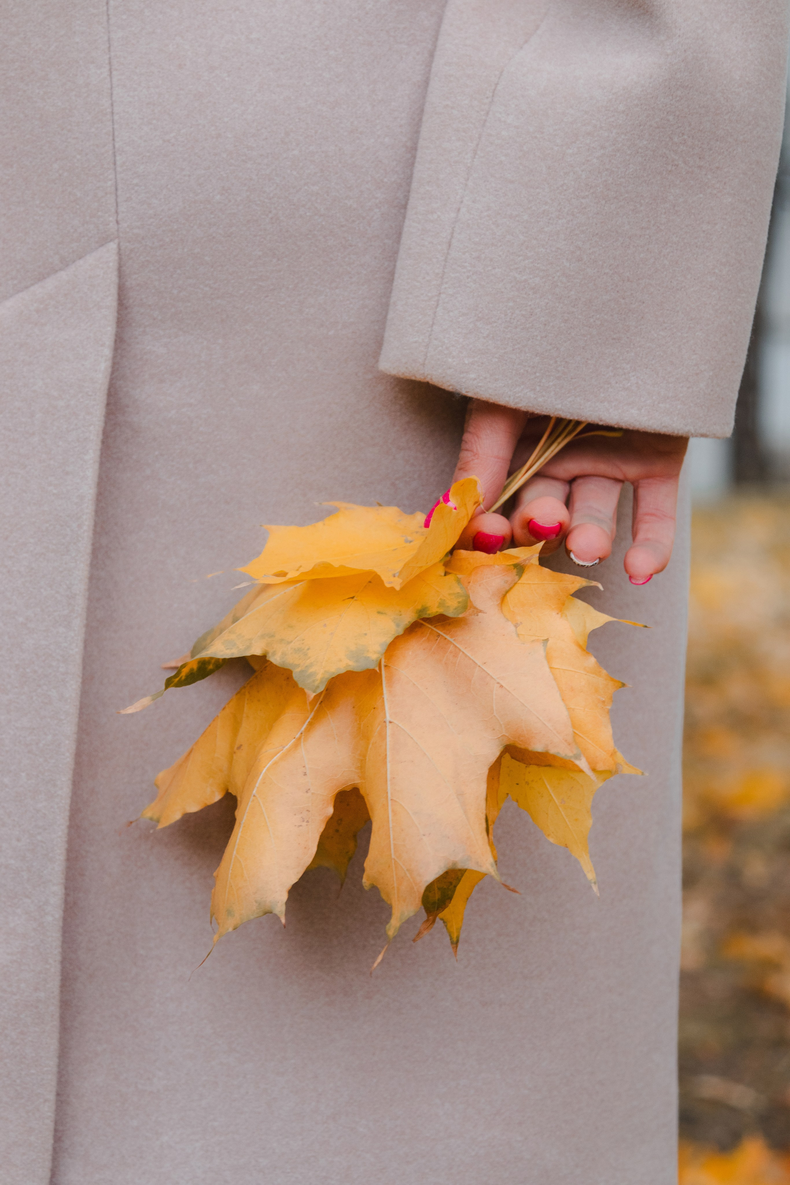 Екатерина | Фотопрогулка. Репортажный фотограф в Москве и МО
