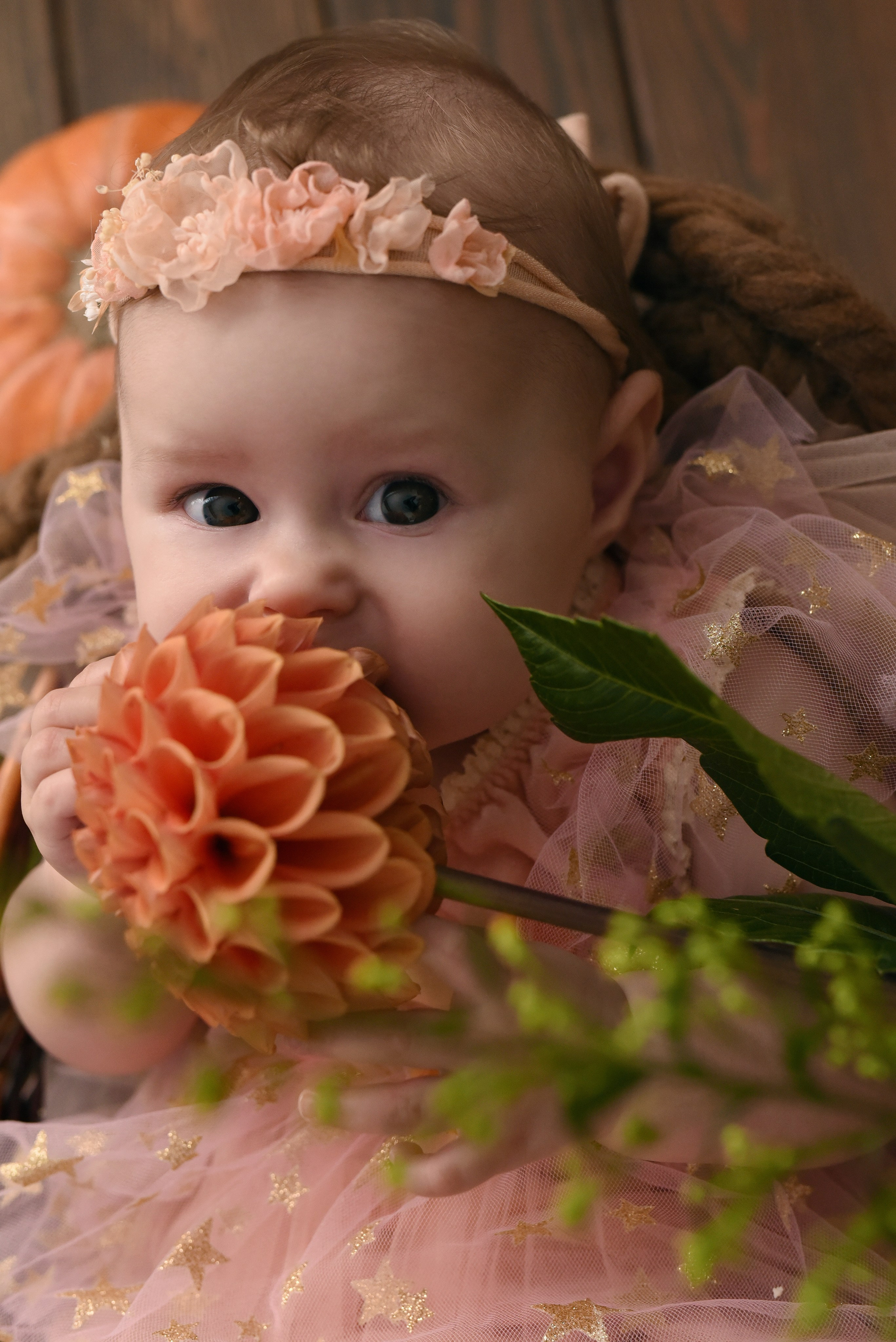 Фотодни. Детский и семейный Фотограф г. Красноярск