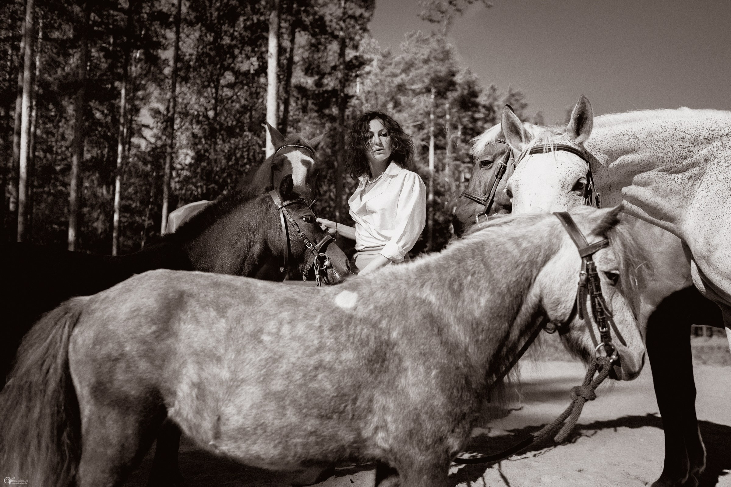 Фотосессия с лошадьми в кантри стиле. Фотограф женский и мужской портрет Санкт-Петербург