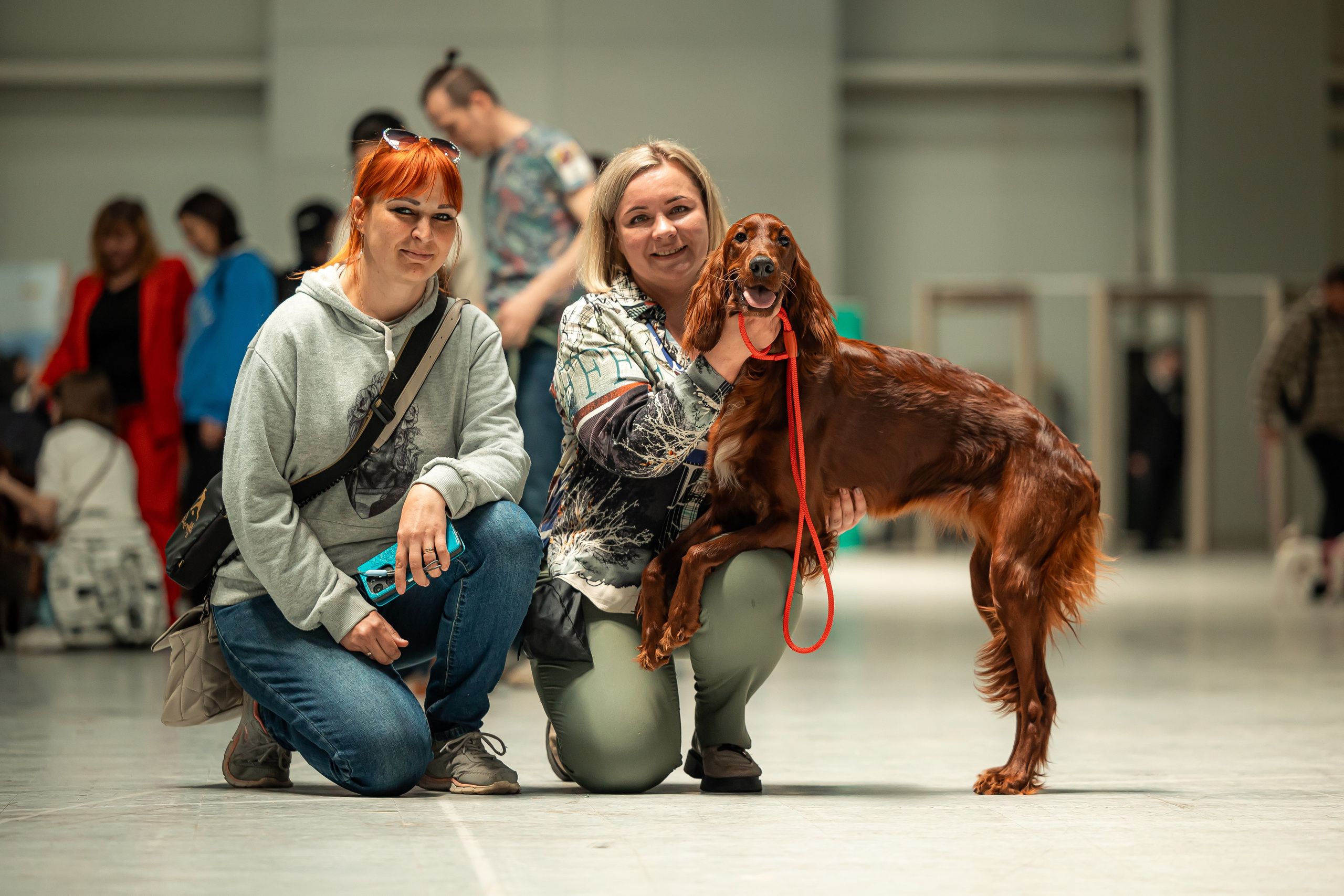 Выставка сеттеров 19.05.24