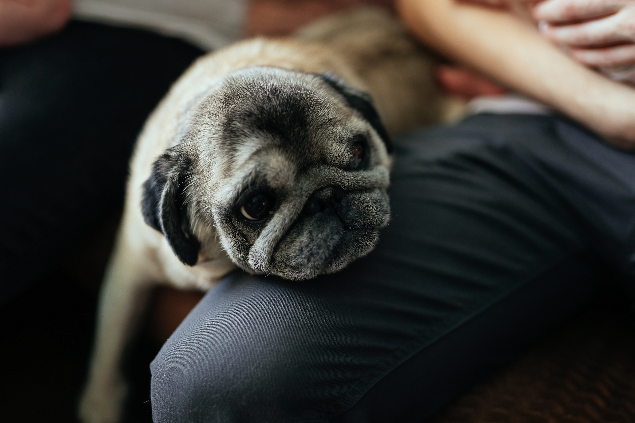 Екатерина Family. Главная