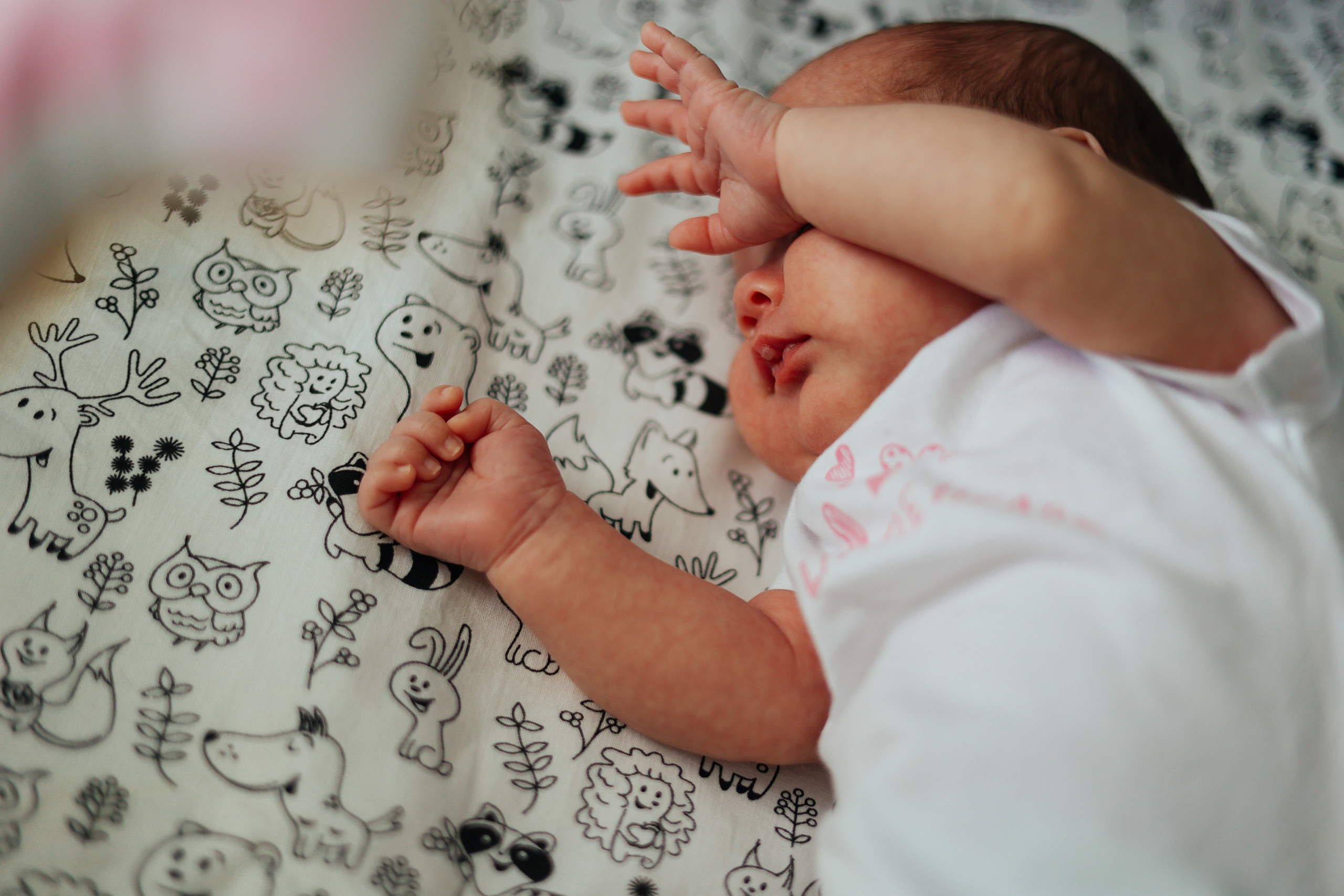 Екатерина Family. Главная