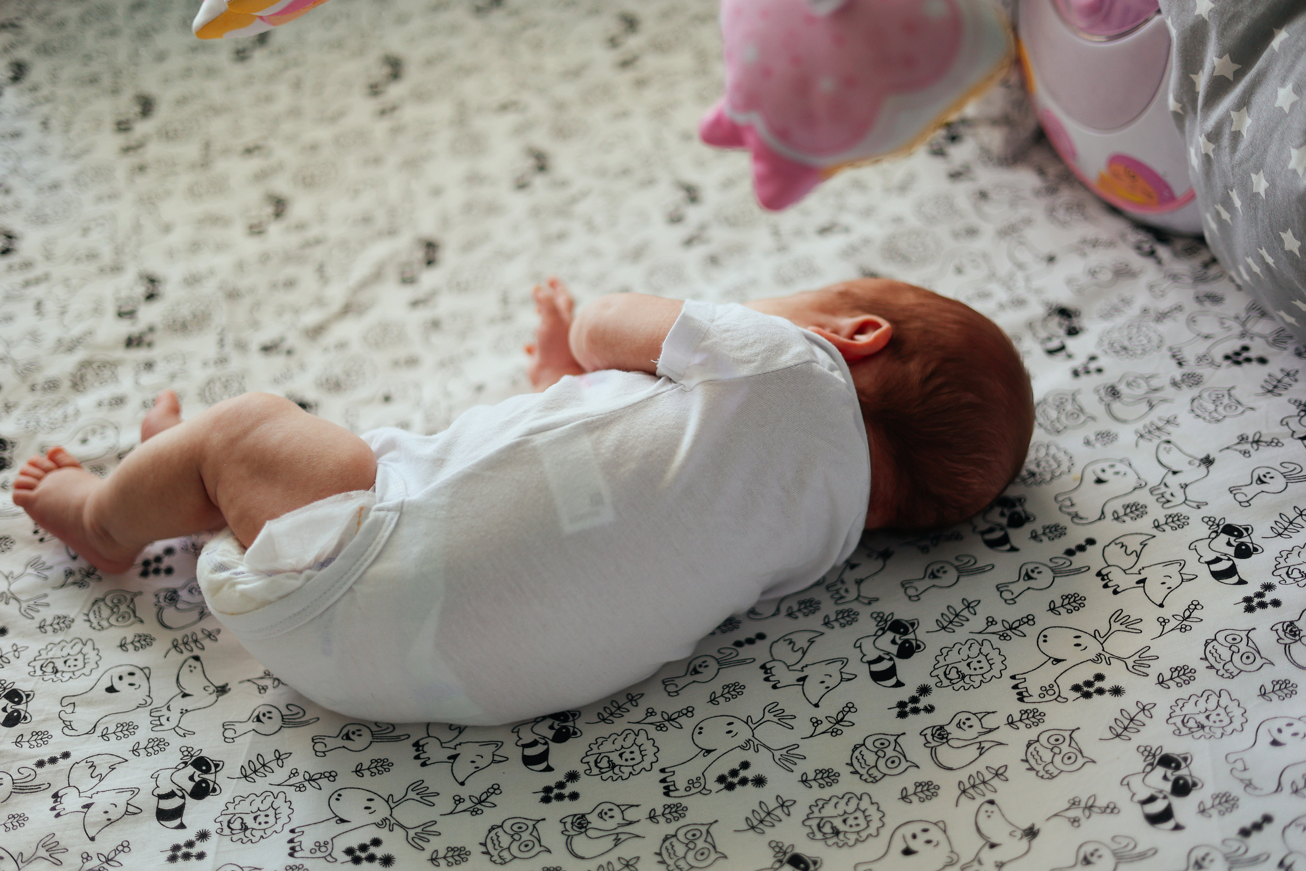 Екатерина Family. Главная