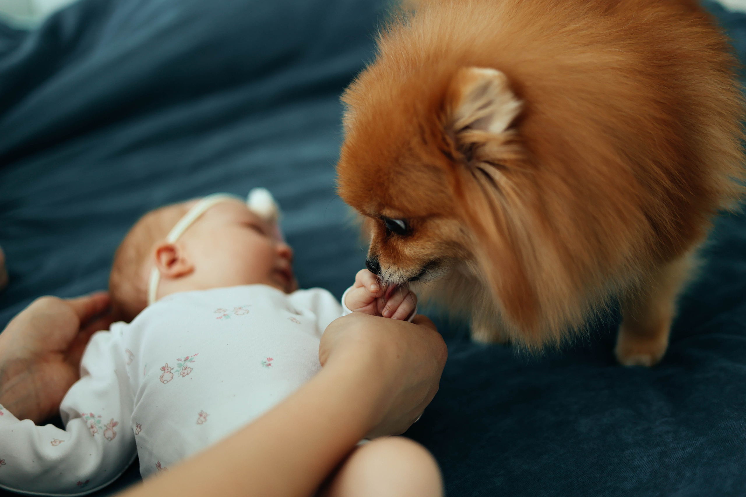Анастасия Family. Главная