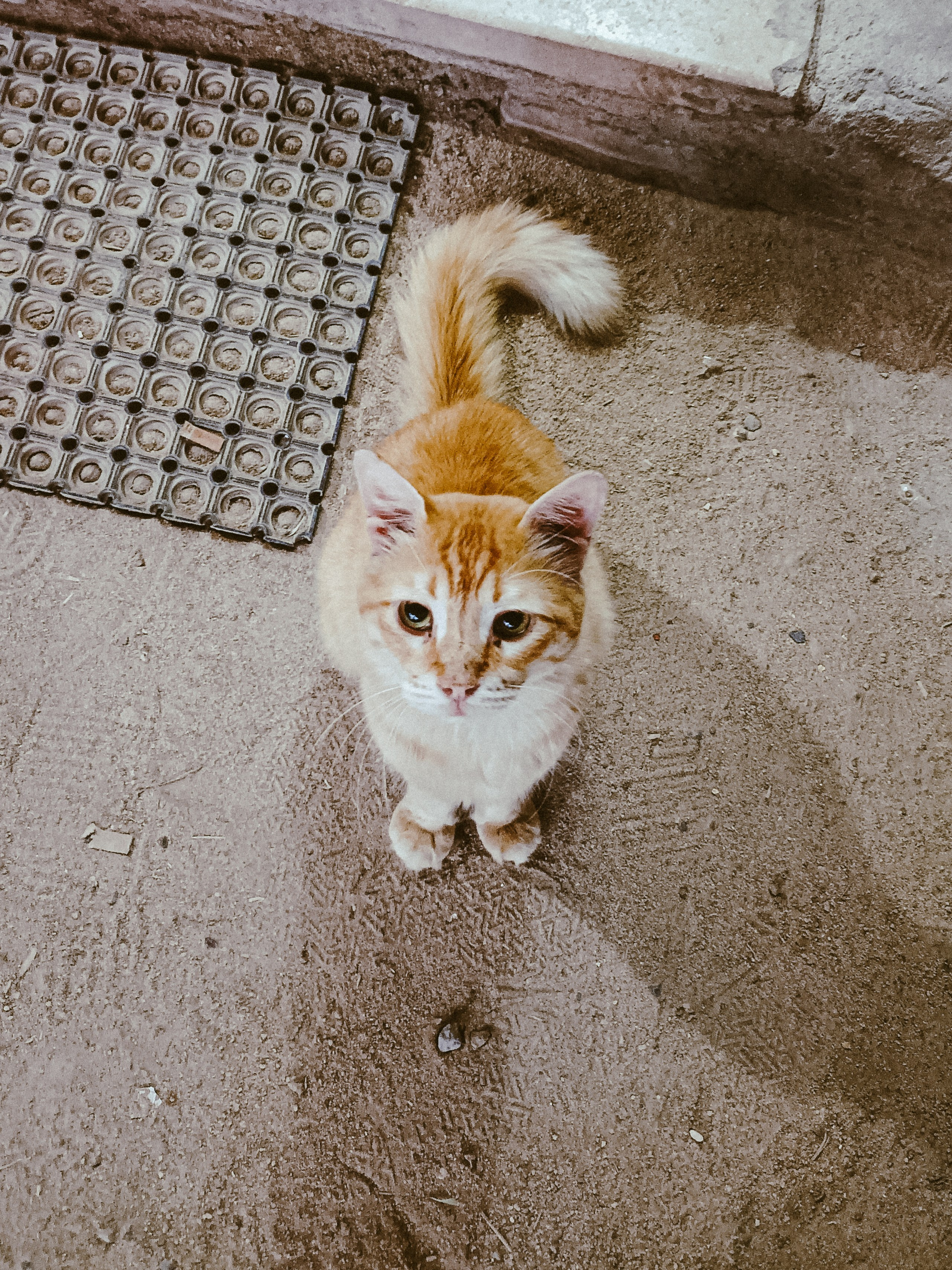 Мобильная. Jorgis — фотограф в Хургаде / обучение фотографии