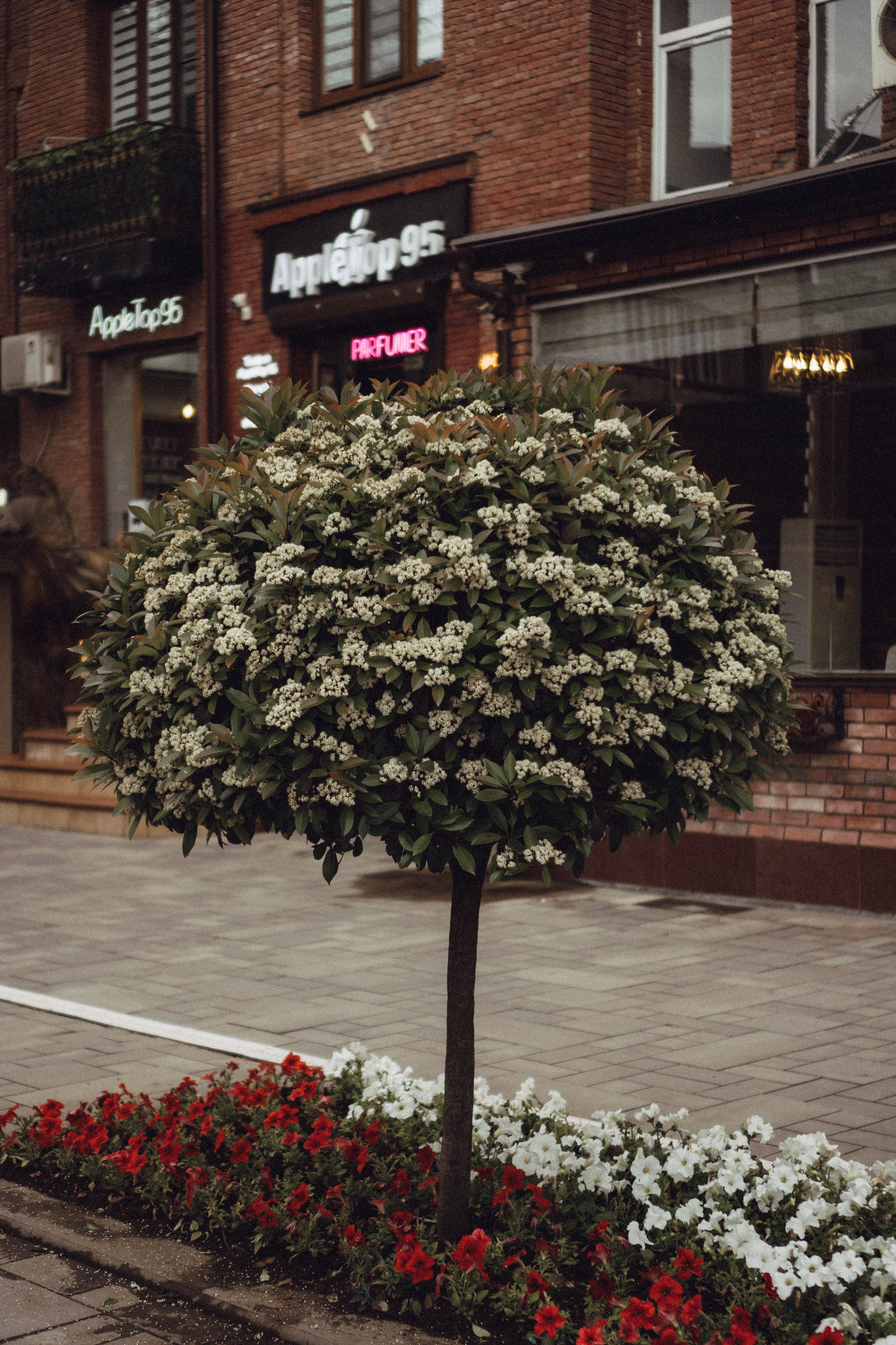 Кавказ. Профессиональный фотограф, Санкт-Петербург — Виктория Богомолова