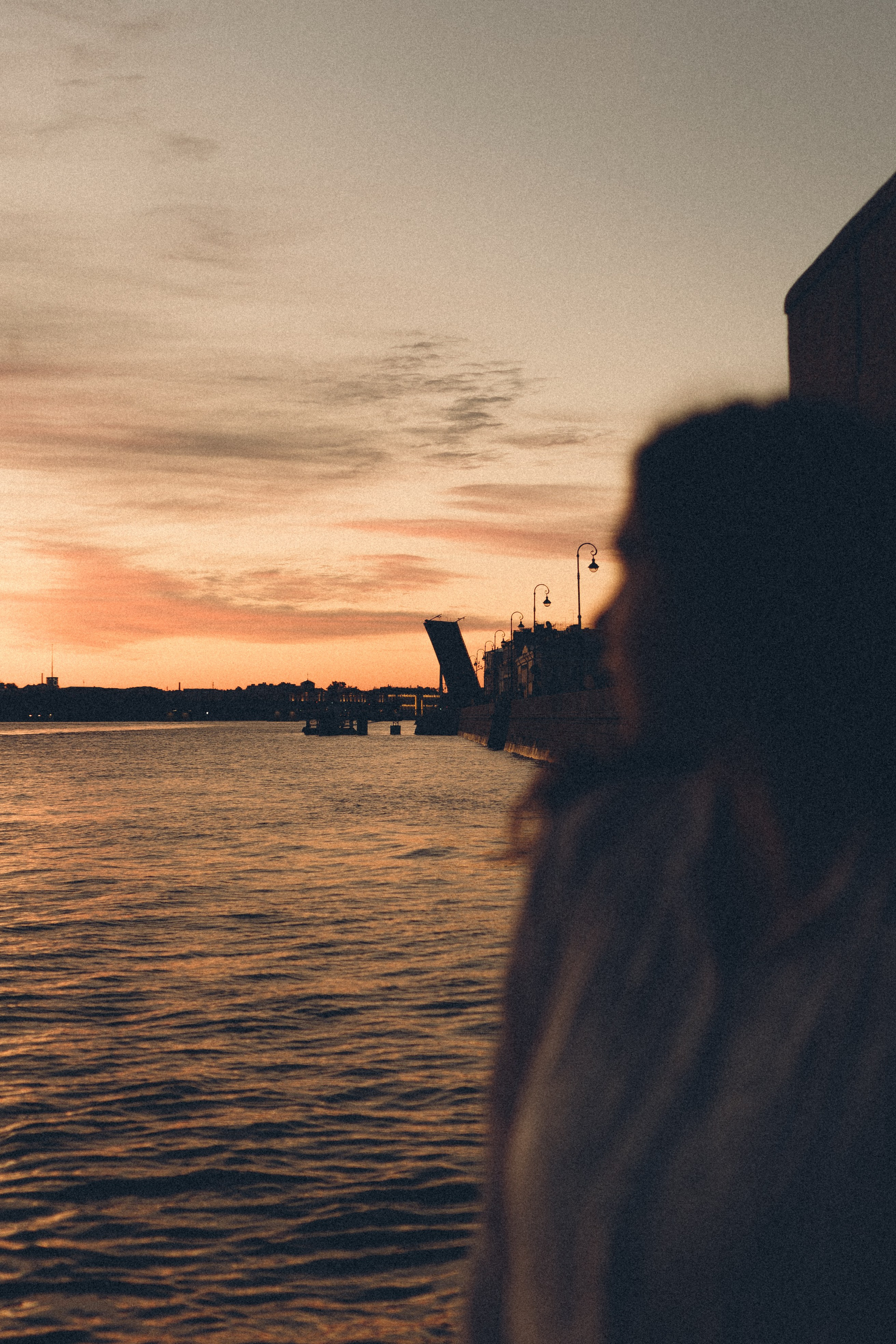 РАССВЕТ С РАЗВОДНЫМИ МОСТАМИ. Профессиональный фотограф, Санкт-Петербург — Виктория Богомолова
