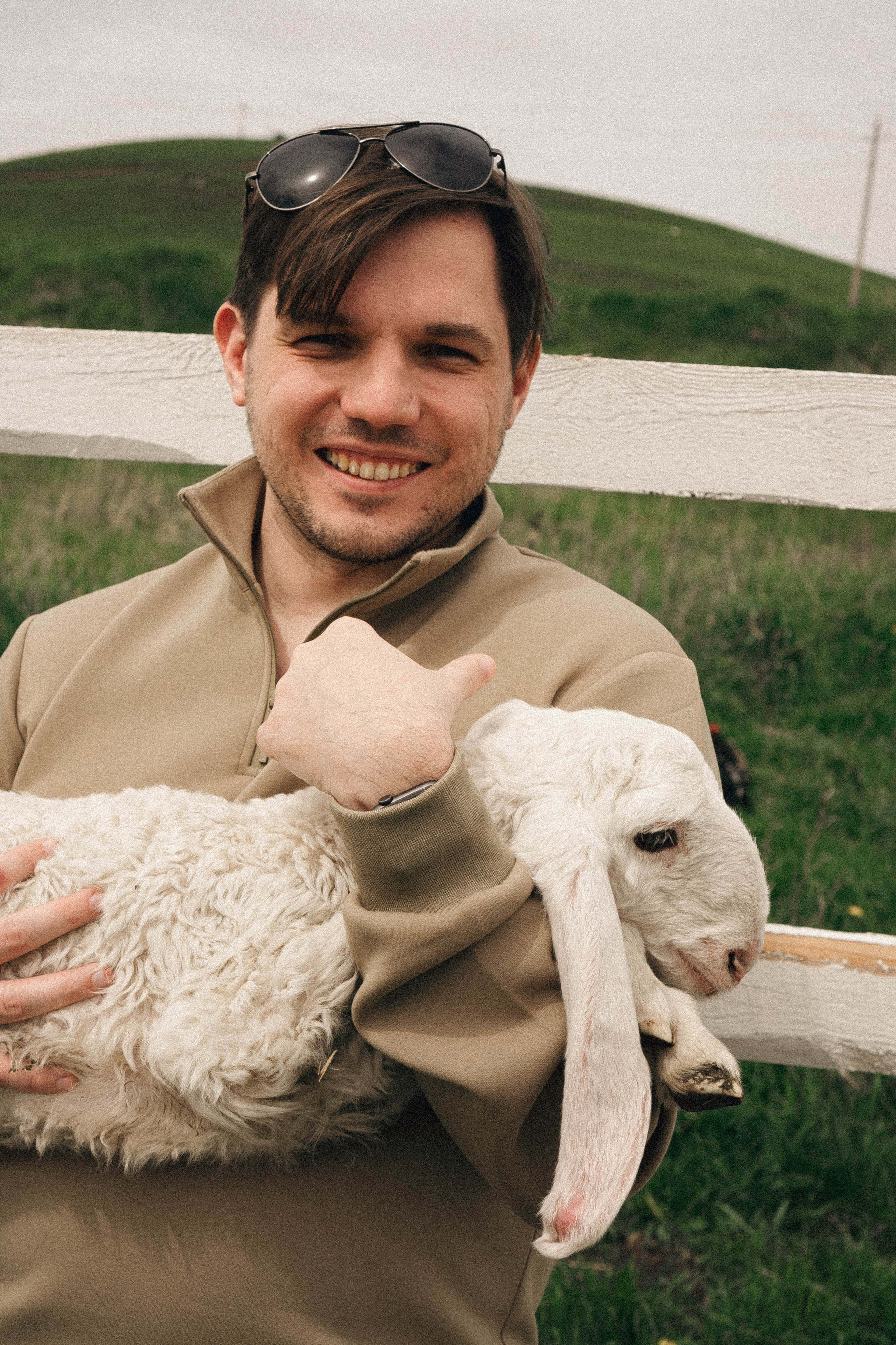 Ферма Альпак. Профессиональный фотограф, Санкт-Петербург — Виктория Богомолова