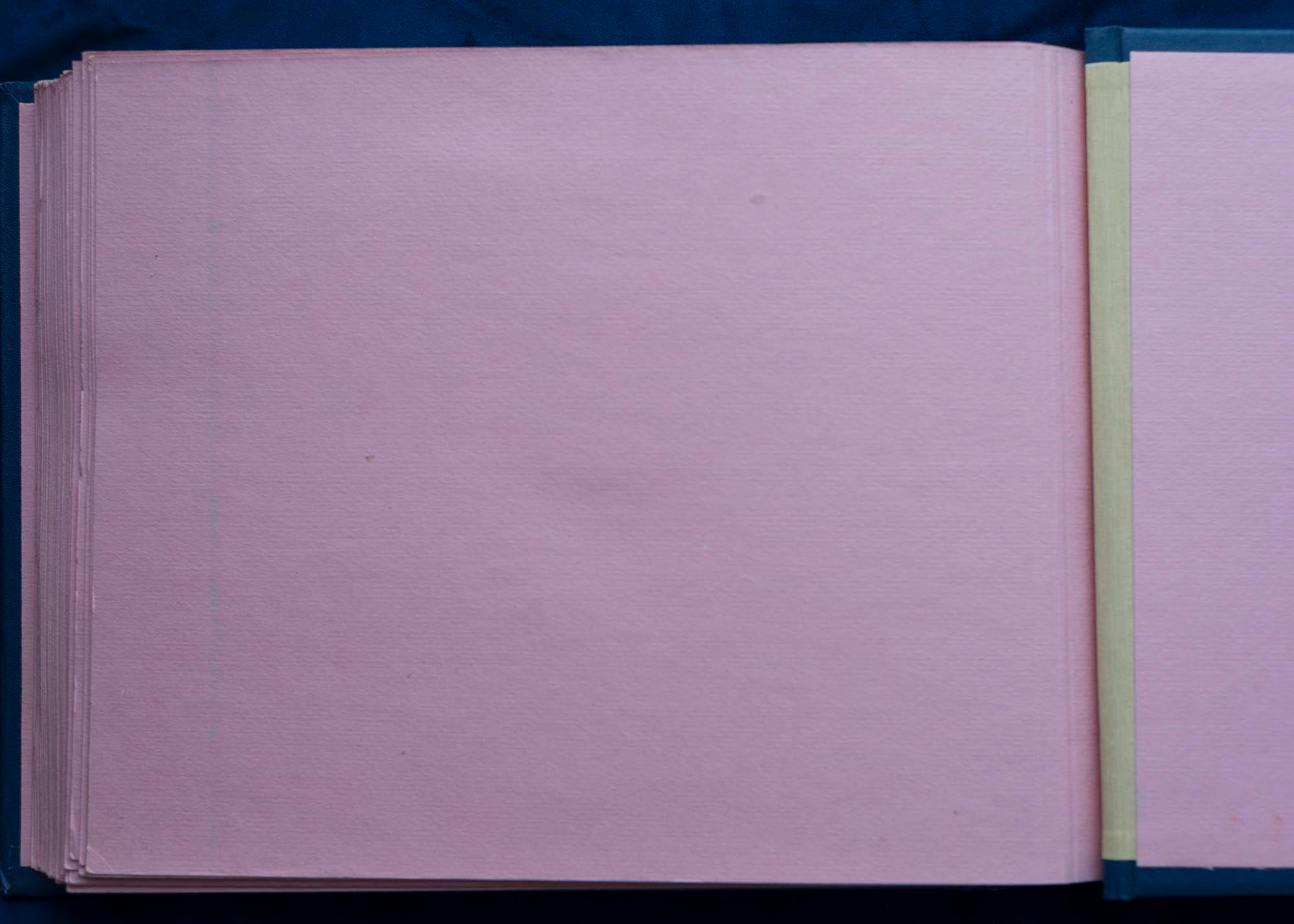 Юбилейный альбом, 1989 г. Plechinta Ekaterina documentary photographer