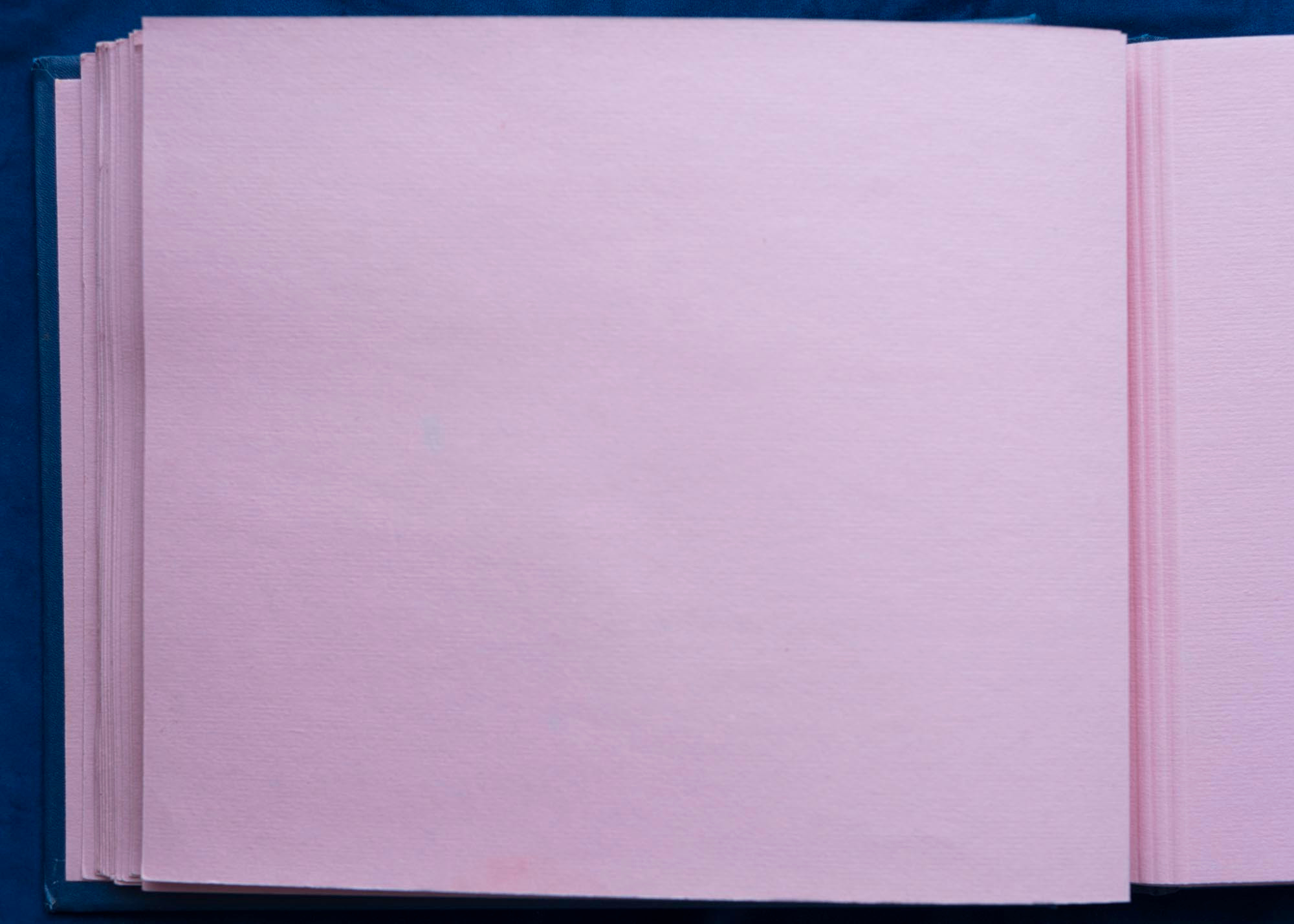 Юбилейный альбом, 1989 г. Plechinta Ekaterina documentary photographer