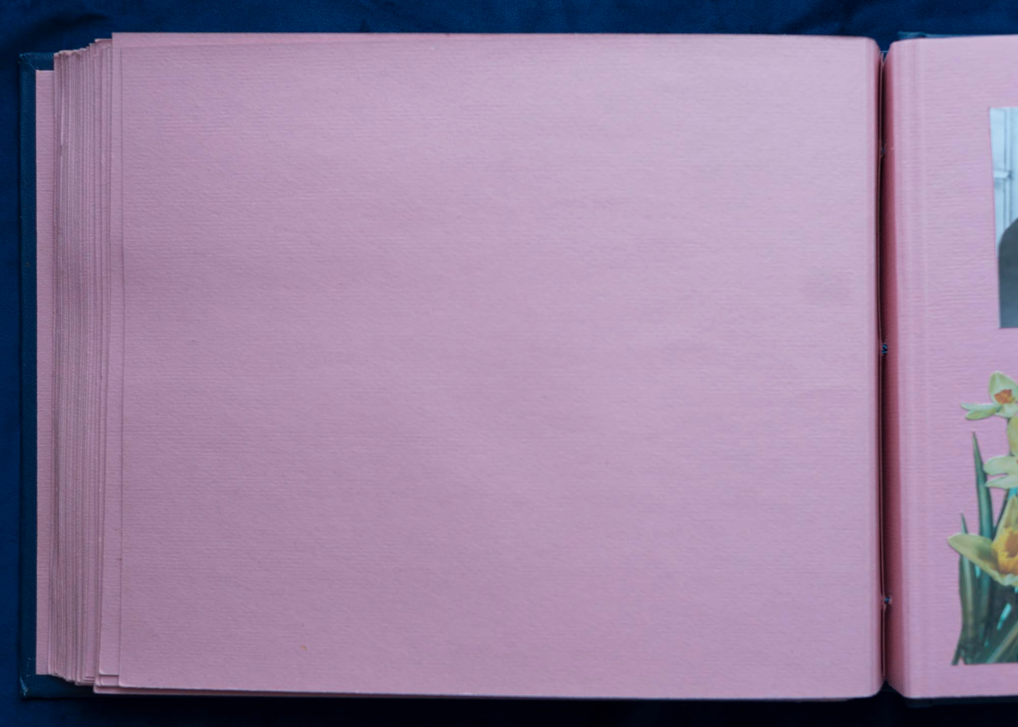 Юбилейный альбом, 1989 г. Plechinta Ekaterina documentary photographer