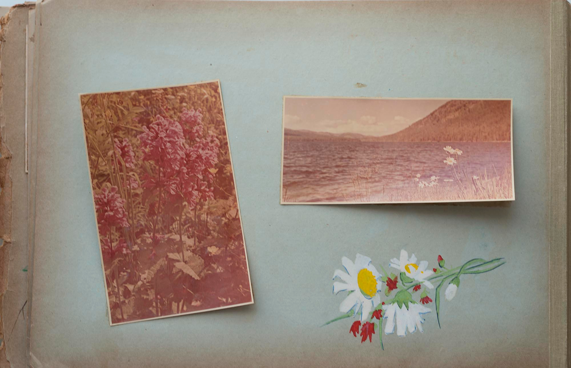 Альбом о путешествиях по Алтаю 1958–1960 гг. Plechinta Ekaterina documentary photographer