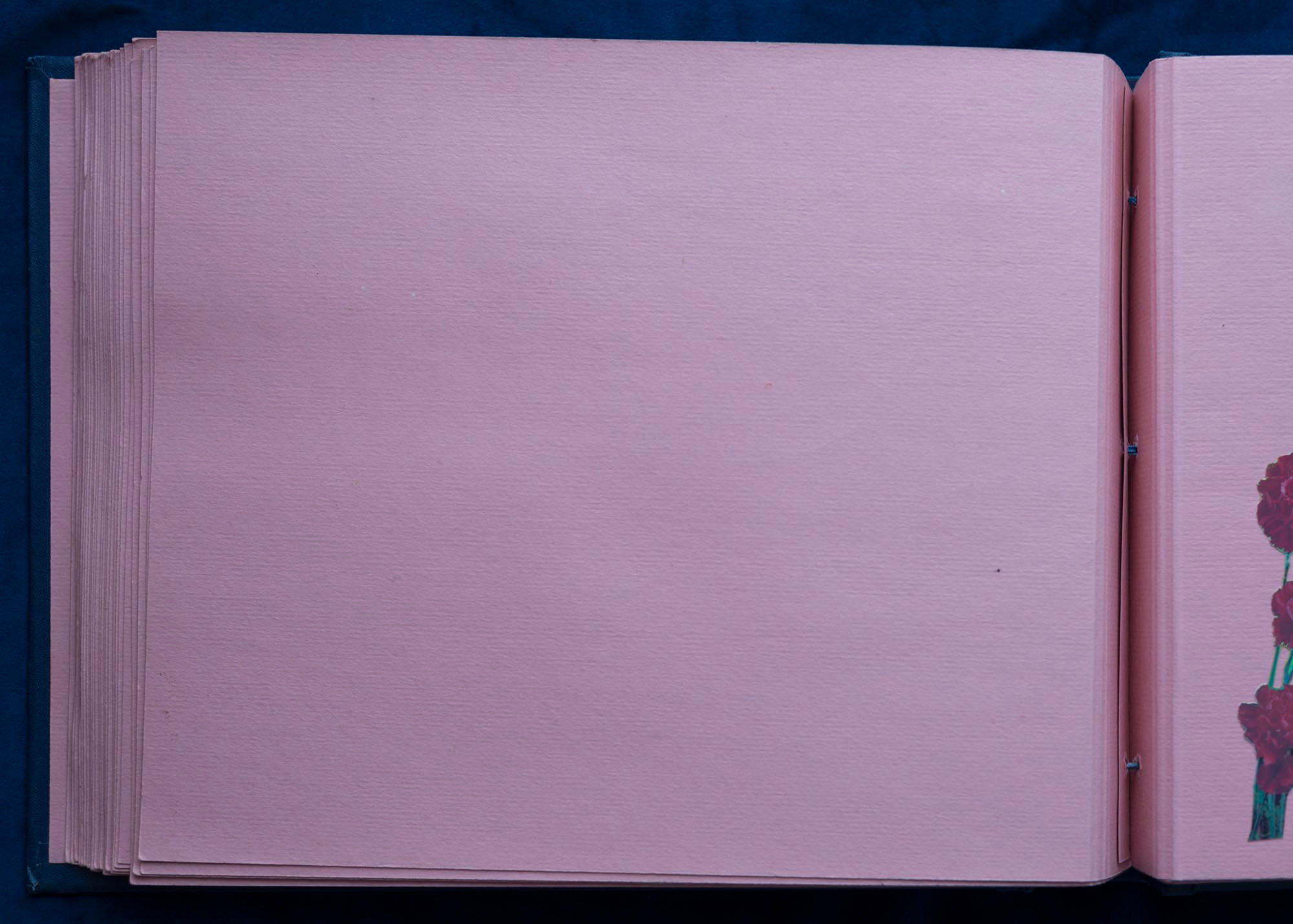 Юбилейный альбом, 1989 г. Plechinta Ekaterina documentary photographer