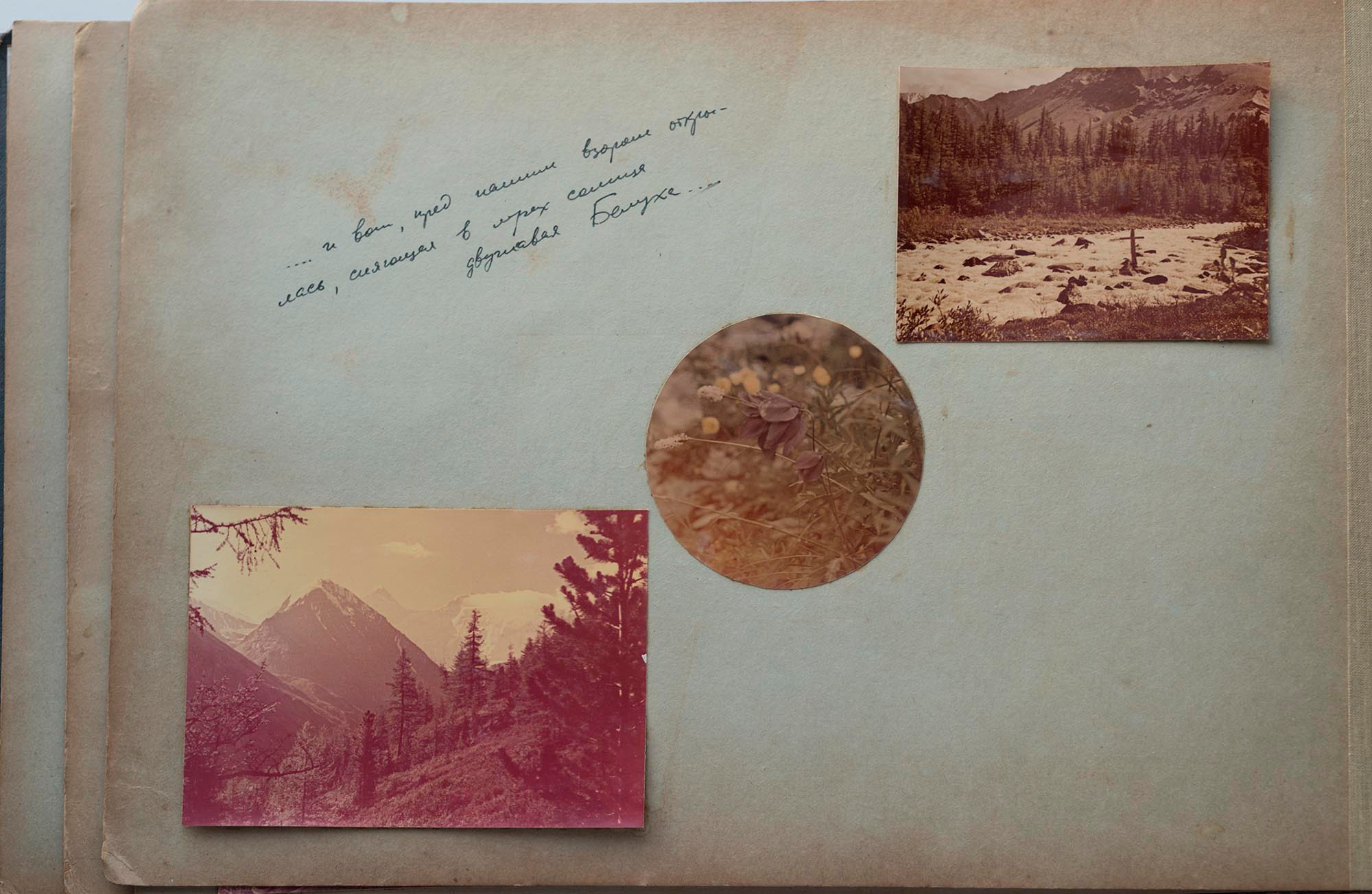 Альбом о путешествиях по Алтаю 1958–1960 гг. Plechinta Ekaterina documentary photographer